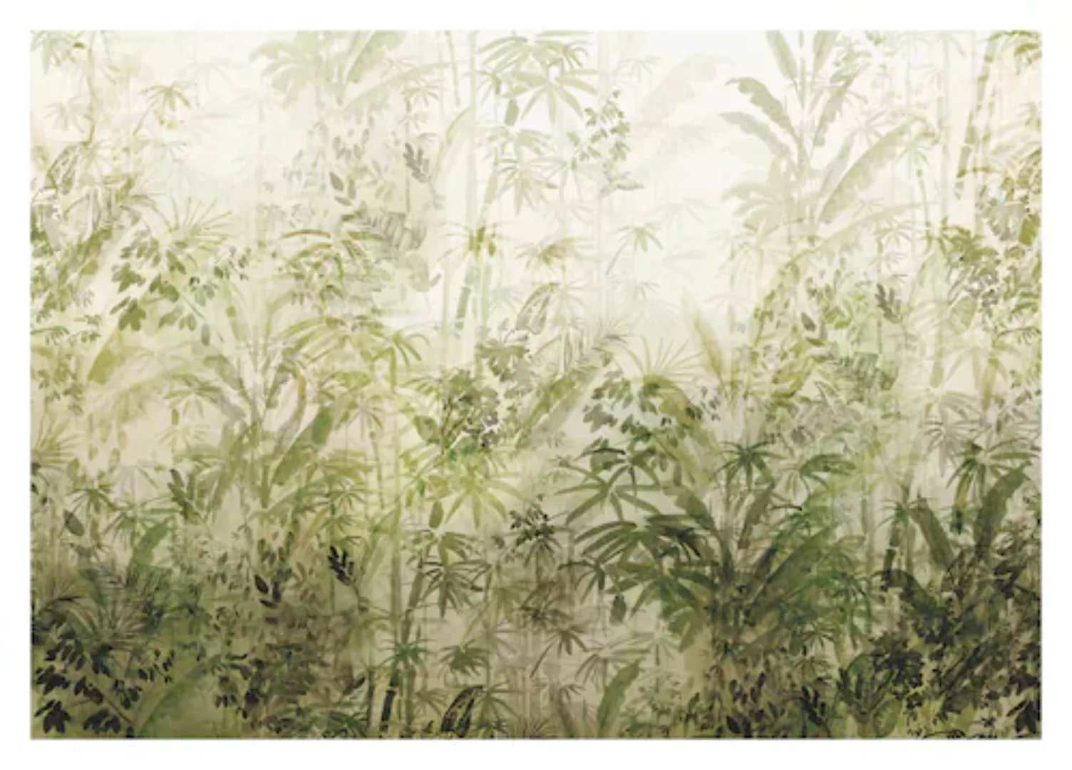 KOMAR Vlies Fototapete - Wilderness - Größe 400 x 280 cm mehrfarbig günstig online kaufen