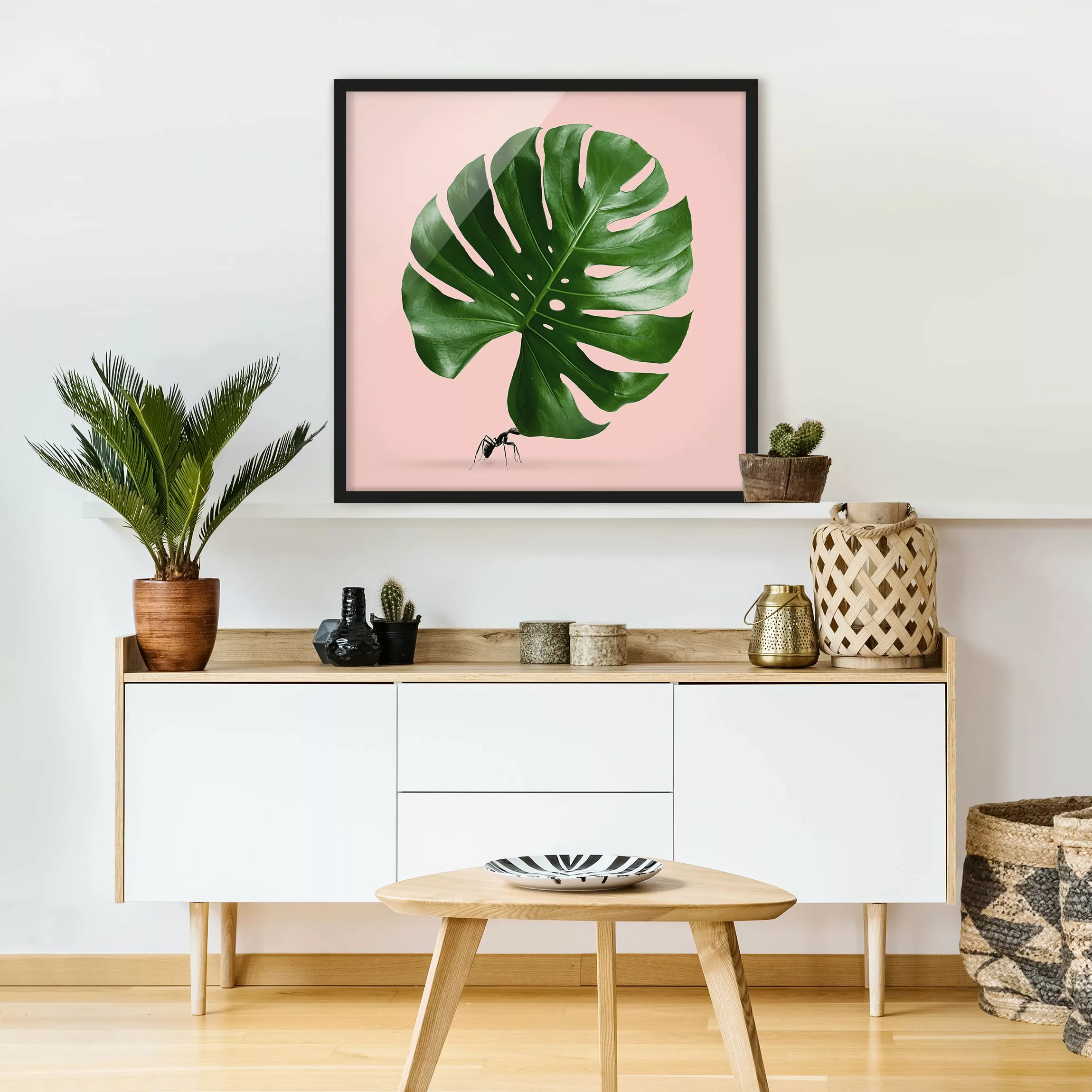 Bild mit Rahmen Tiere - Quadrat Ameise mit Monstera Blatt günstig online kaufen