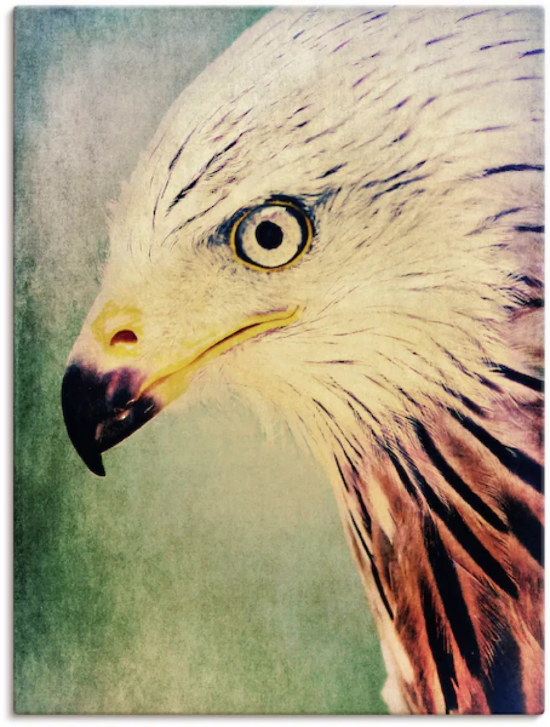Artland Leinwandbild »Rotmilan«, Vögel, (1 St.), auf Keilrahmen gespannt günstig online kaufen