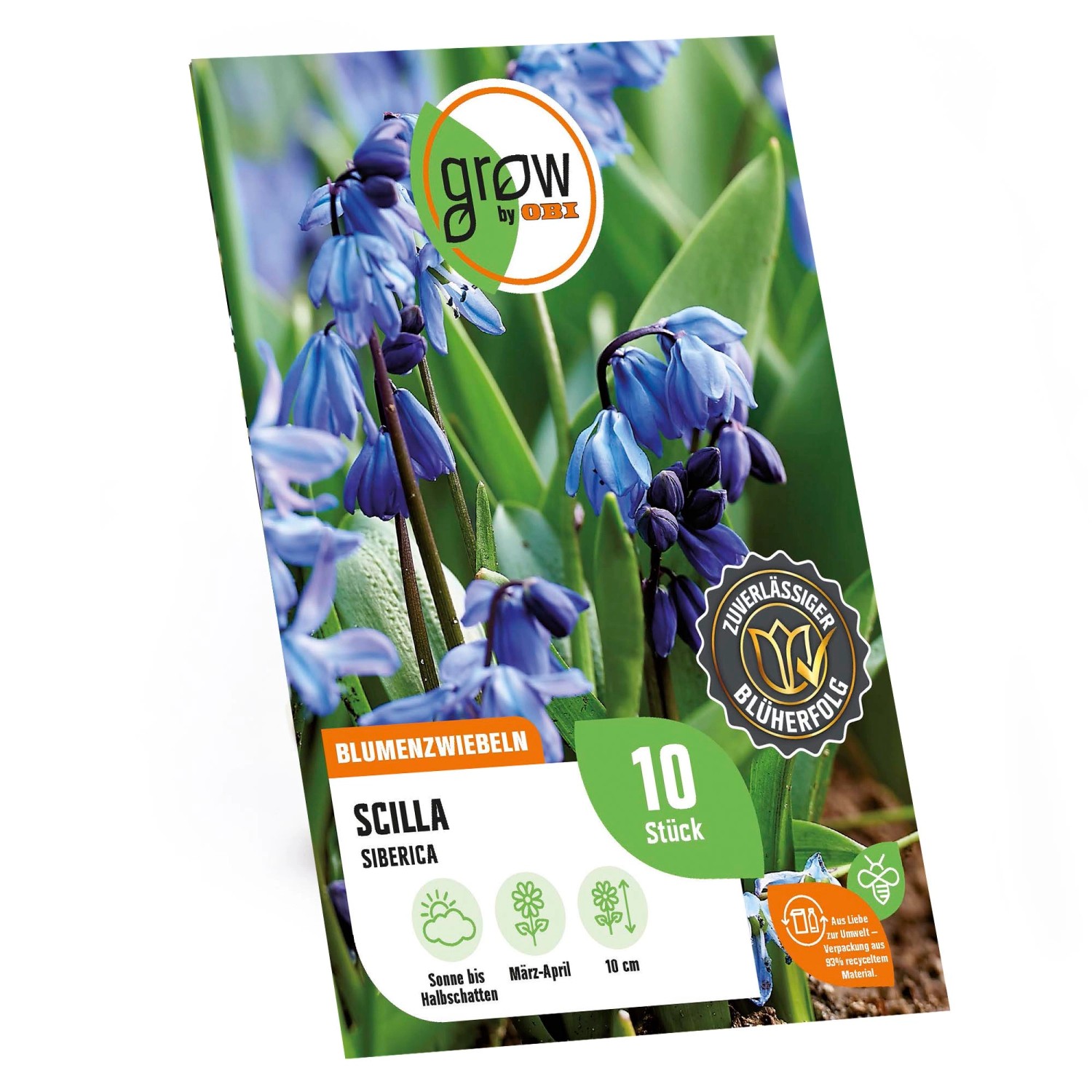 GROW by OBI Sibirischer Blaustern Blau 10 cm Scilla siberica günstig online kaufen