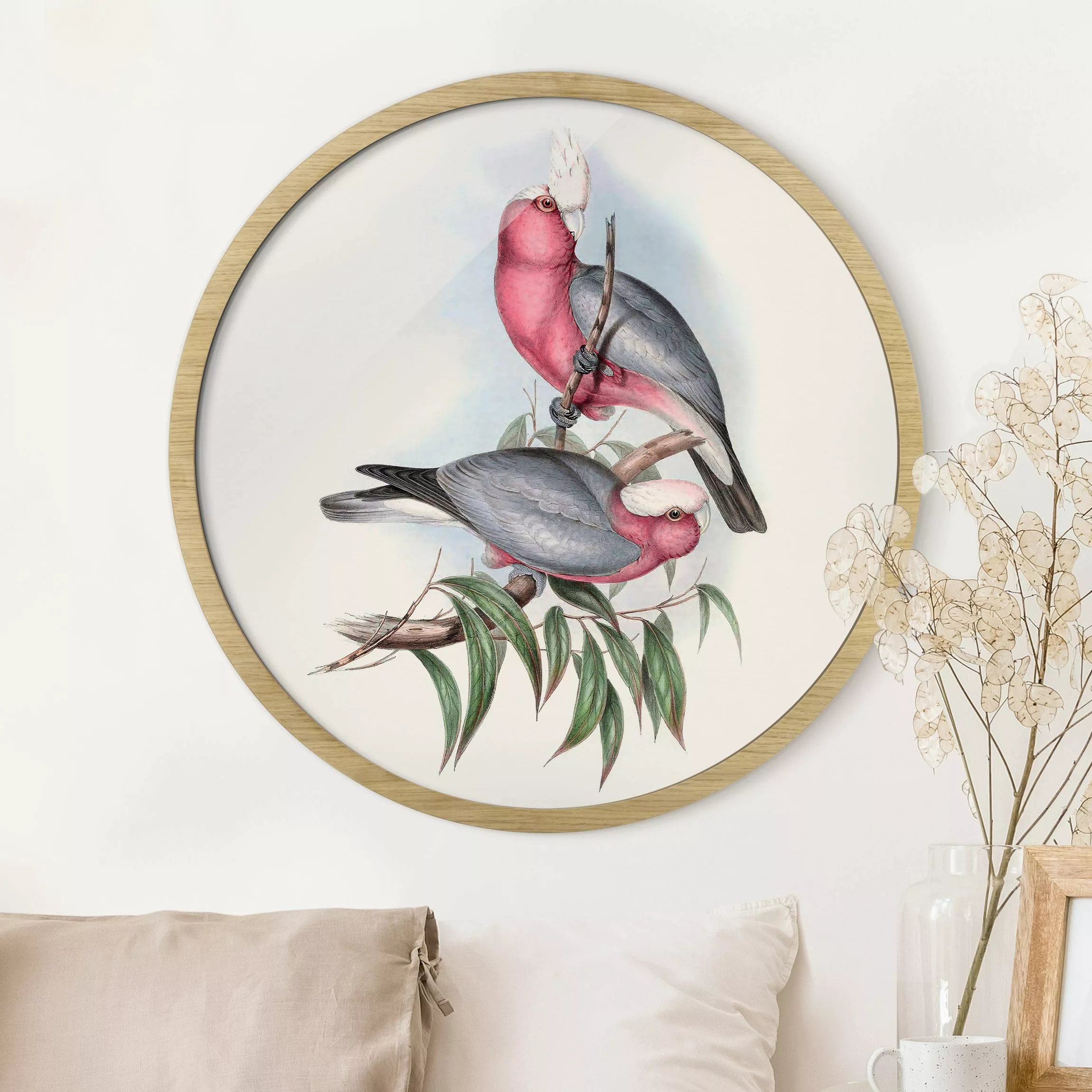 Rundes Gerahmtes Bild Pastell Papageien II günstig online kaufen