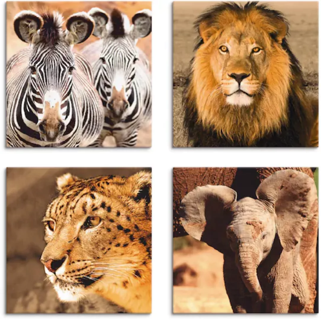 Artland Leinwandbild »Zebras Löwe Schneeleopard Elefanten«, Wildtiere, (4 S günstig online kaufen