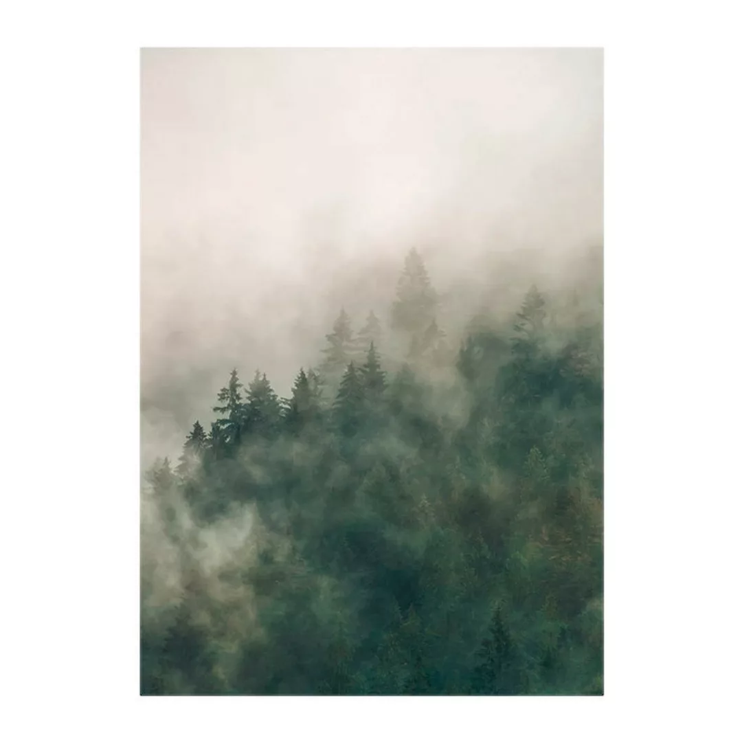 Komar Wandbild Tales of the Carpathians Wald B/L: ca. 30x40 cm günstig online kaufen