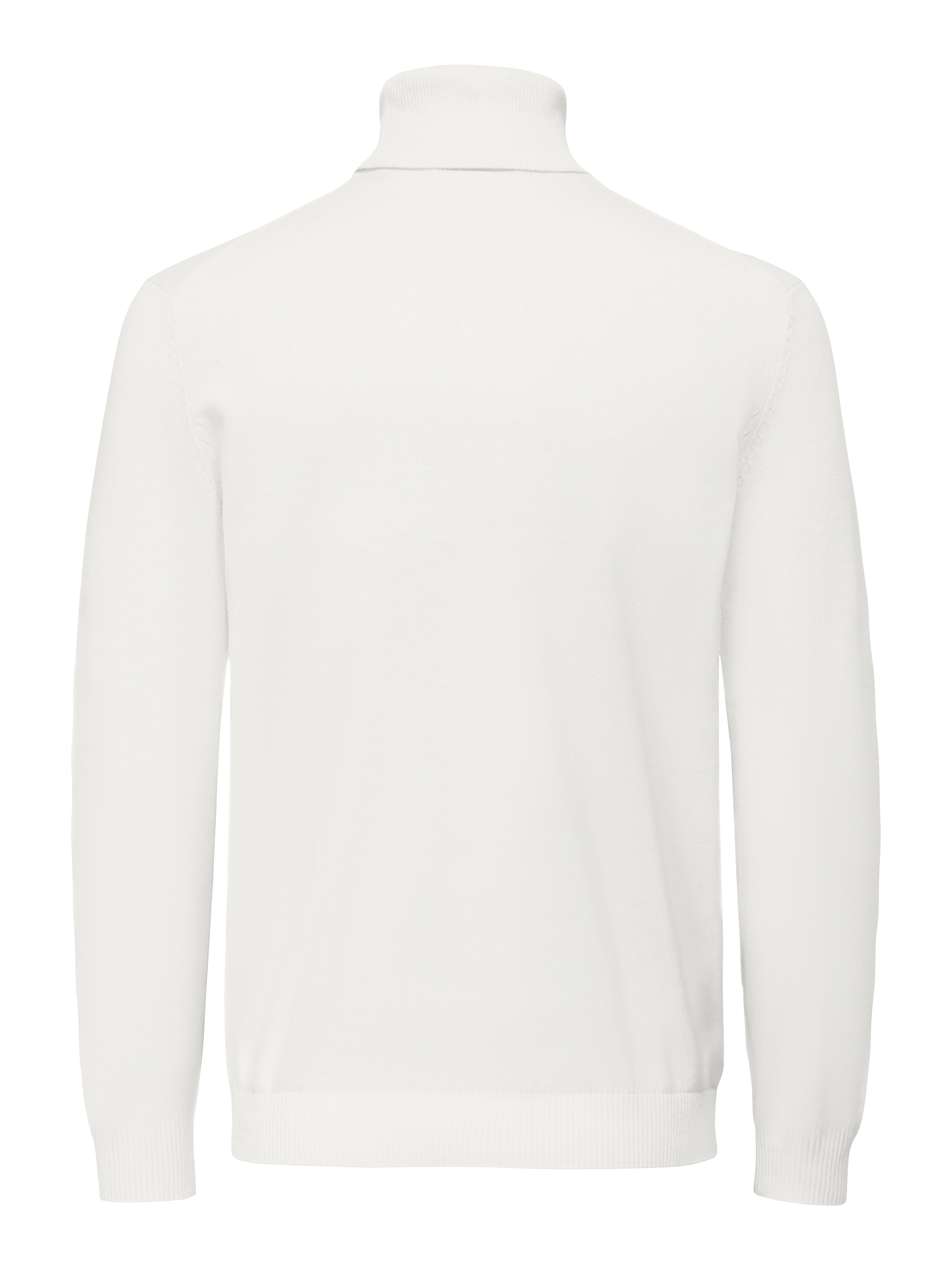 ONLY & SONS Rollkragenpullover "ONSHOLGER REG ROLL NECK KNIT - OTL" günstig online kaufen