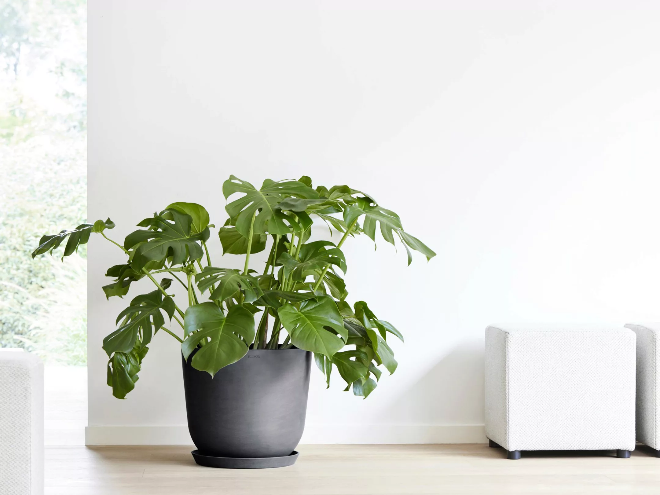 ECOPOTS Blumentopf "Oslo 45 + Wassersystem Dunkelgrau", für innen und außen günstig online kaufen