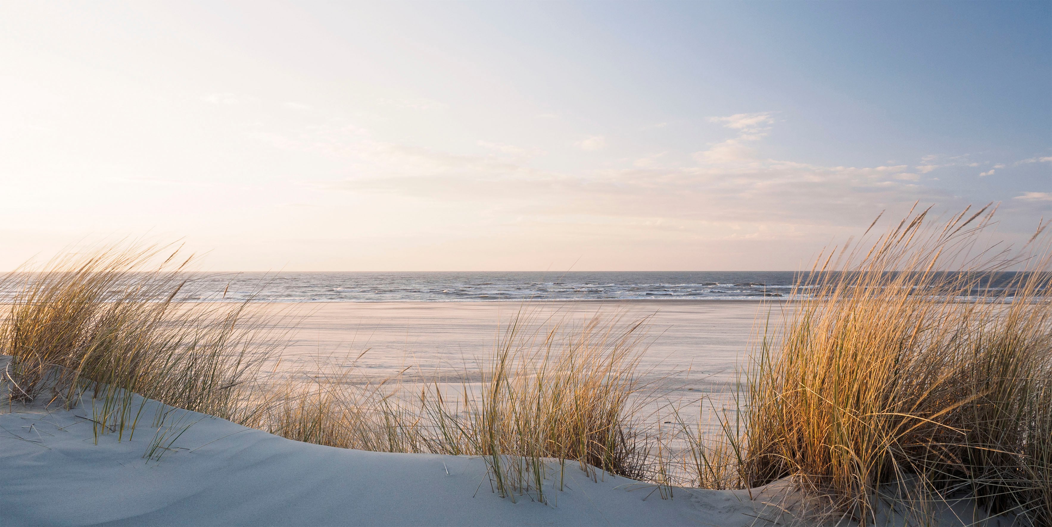 Bönninghoff Leinwandbild, Düne-Strand, (1 St.), BxH: 100x50 cm günstig online kaufen