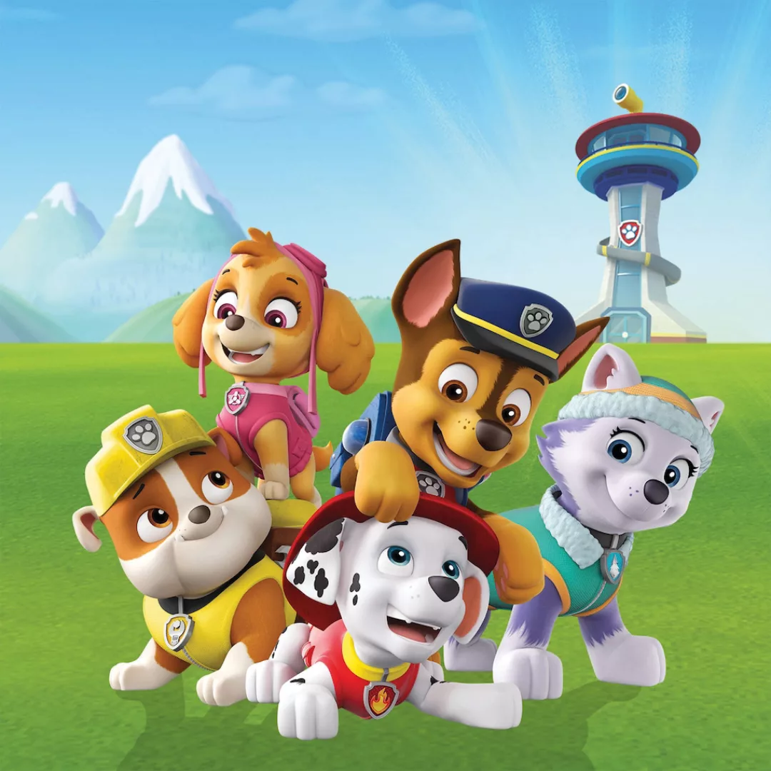 Bönninghoff Leinwandbild "Paw Patrol", Filmfiguren, (1 St.), BxH: 35x35 cm günstig online kaufen