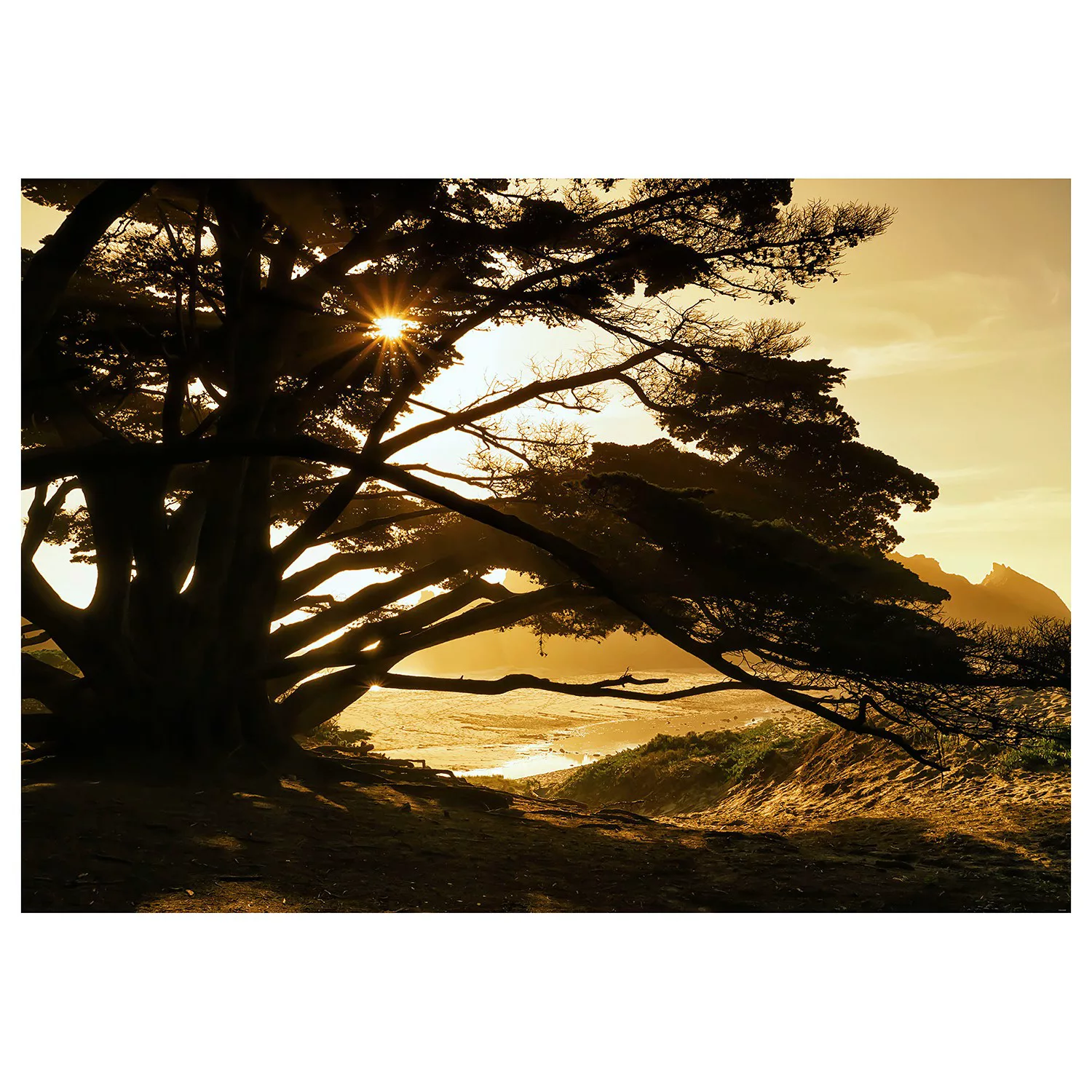 KOMAR Vlies Fototapete - Perfect Moment - Größe 400 x 280 cm mehrfarbig günstig online kaufen