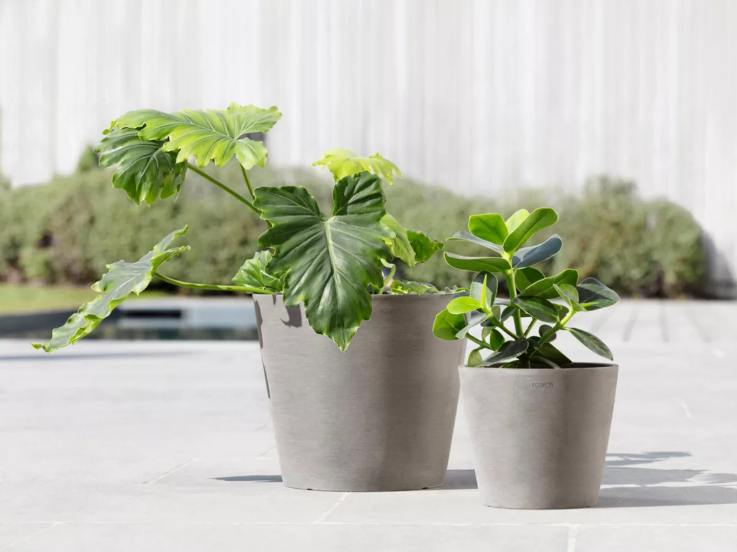 ECOPOTS Blumentopf "Amsterdam 30 + Wassersystem Taupe", für innen und außen günstig online kaufen