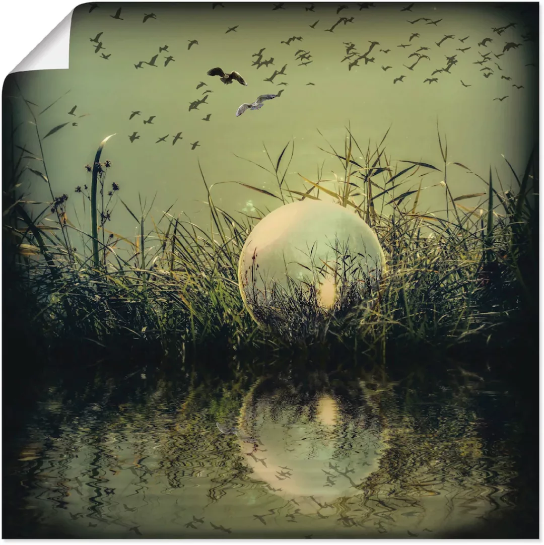 Artland Wandbild "In der Glaskugel - Mystische Au", Landschaften, (1 St.) günstig online kaufen