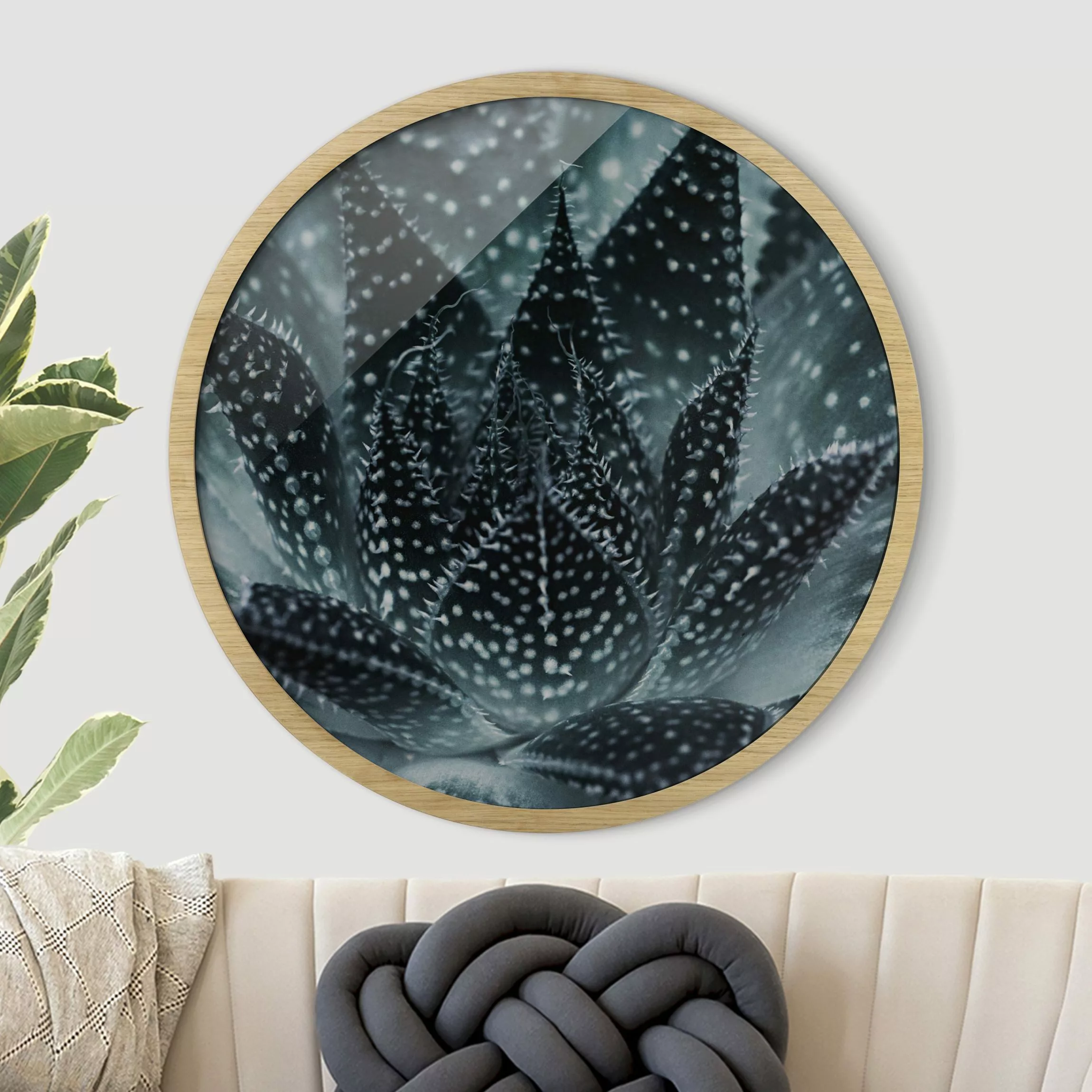 Rundes Gerahmtes Bild Kaktus mit Sternpunkten bei Nacht günstig online kaufen