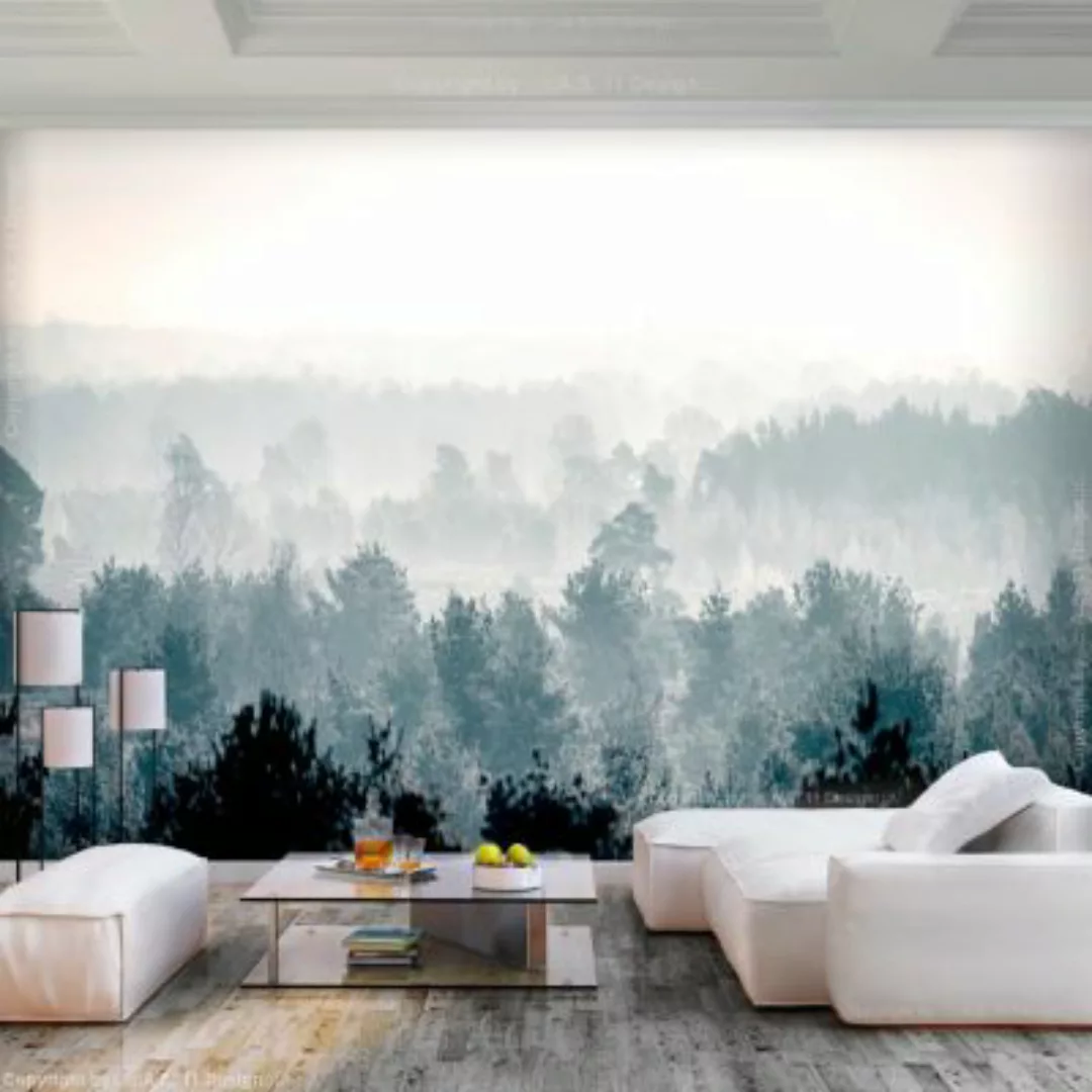 artgeist Fototapete Winter Forest mehrfarbig Gr. 100 x 70 günstig online kaufen