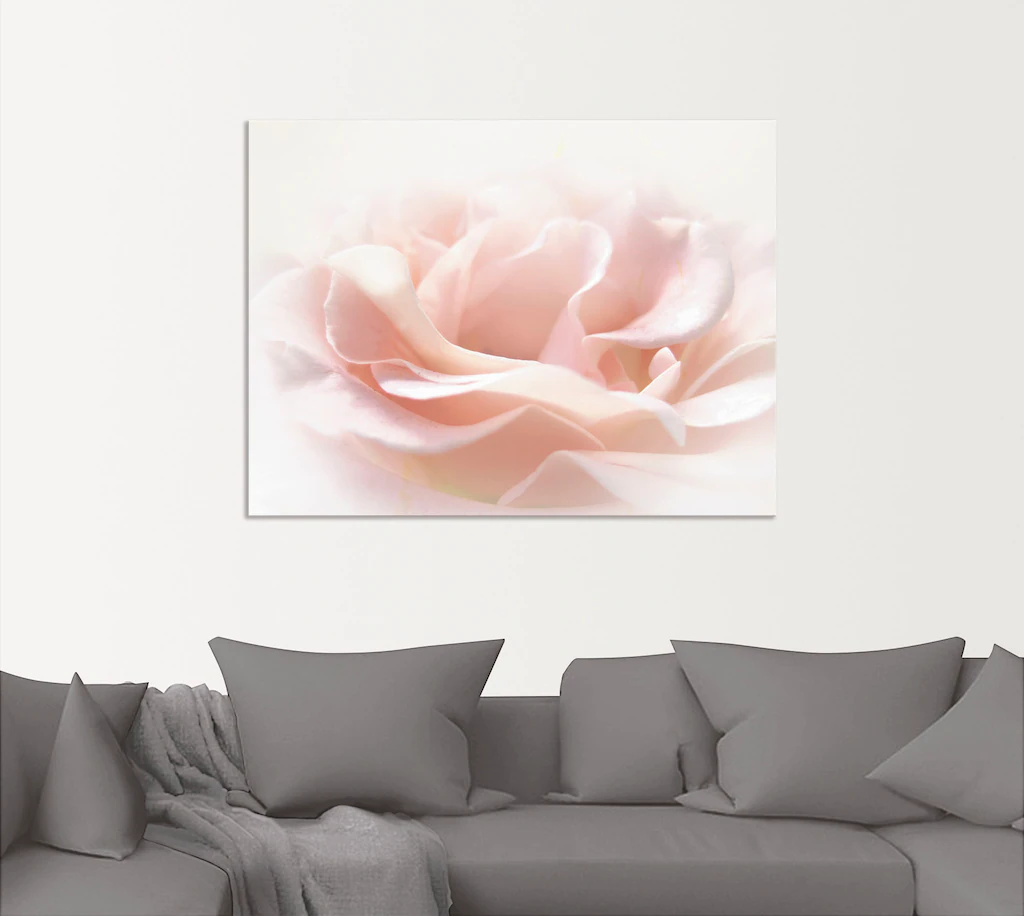 Artland Wandbild "Rose I", Blumen, (1 St.), als Alubild, Outdoorbild, Leinw günstig online kaufen