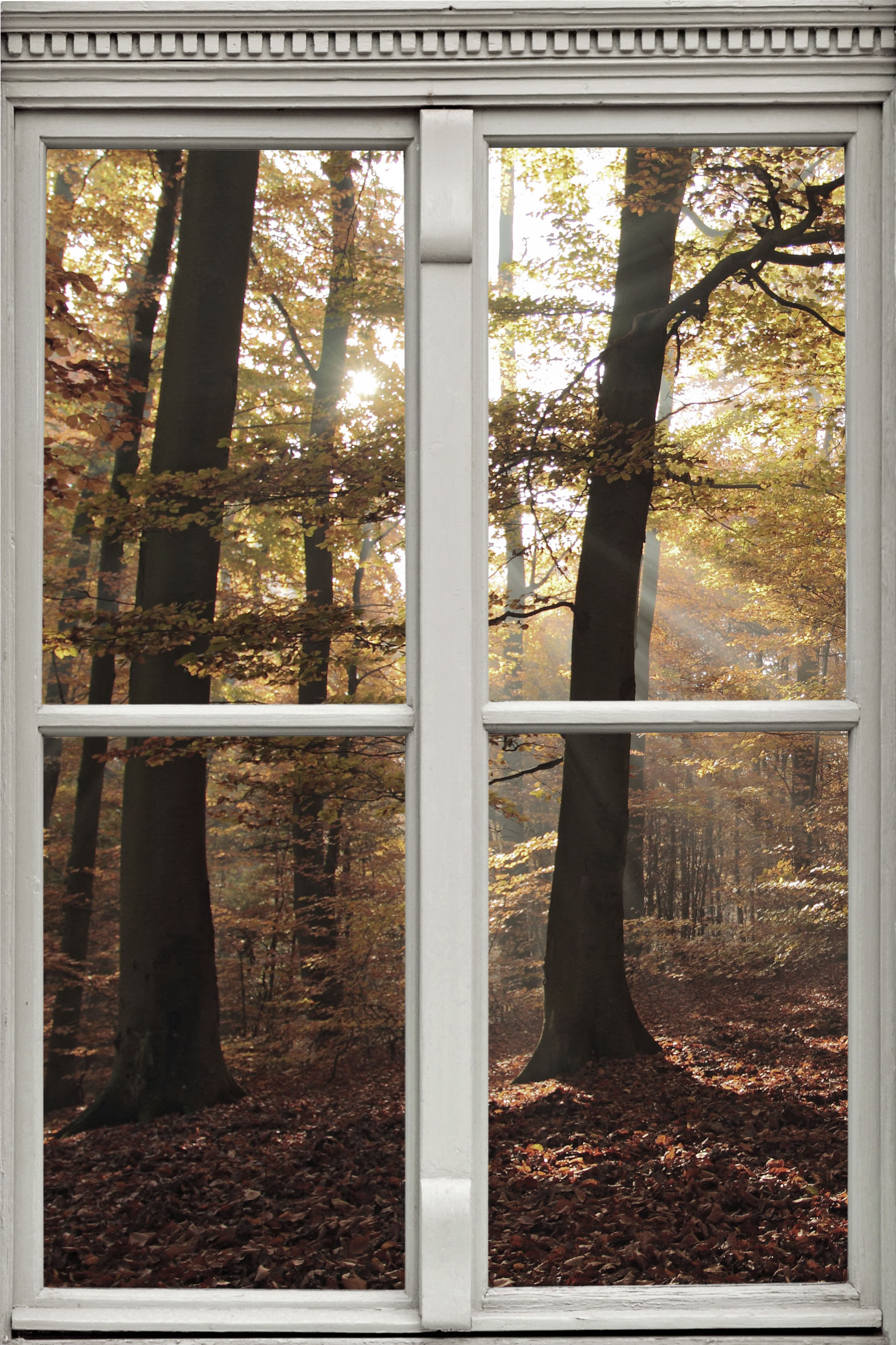 queence Wandsticker "Wald", Wandsticker, Wandbild, selbstklebend, 3D, Fenst günstig online kaufen