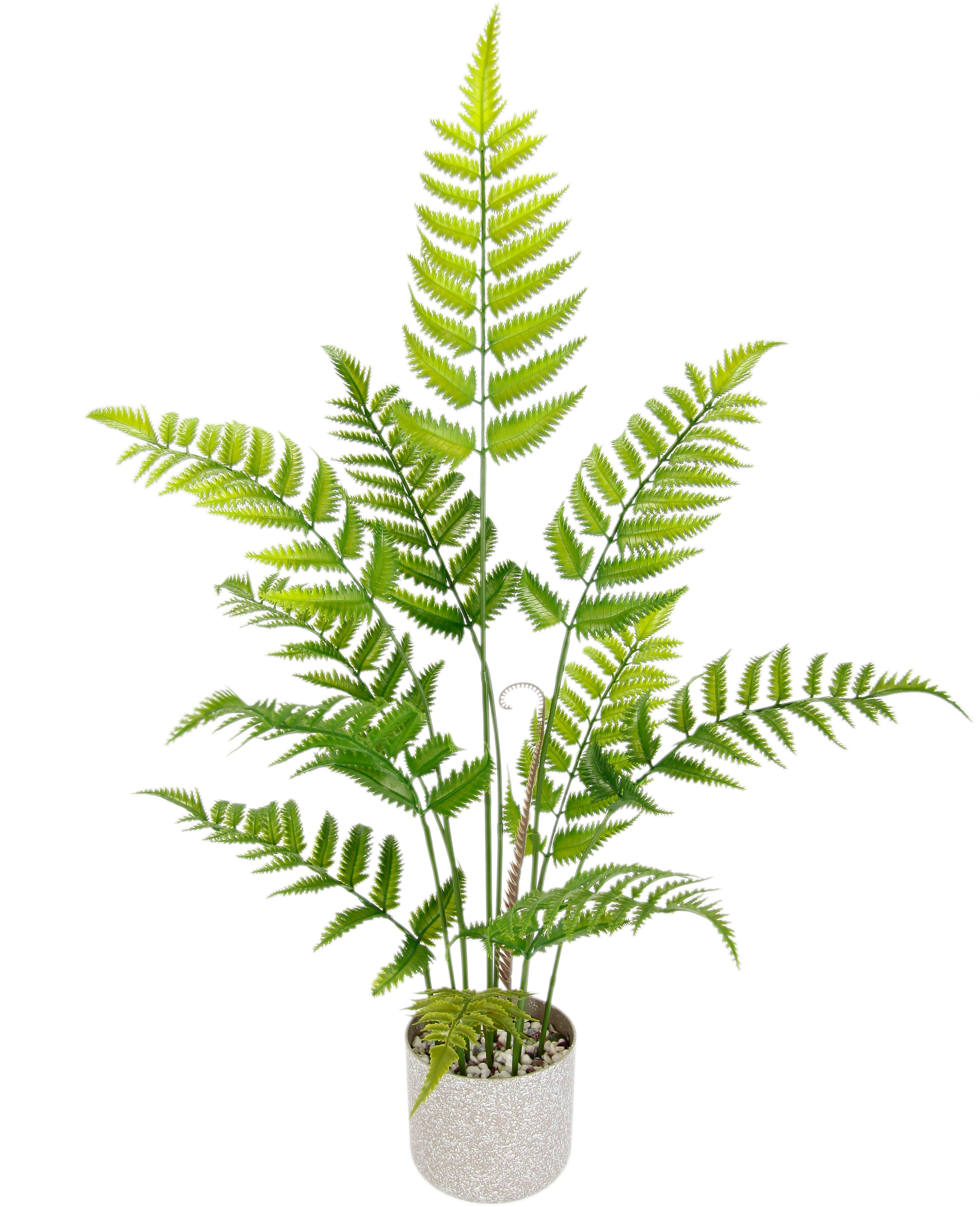 Kunstpflanze Künstlicher Waldfarn im Topf Farn günstig online kaufen
