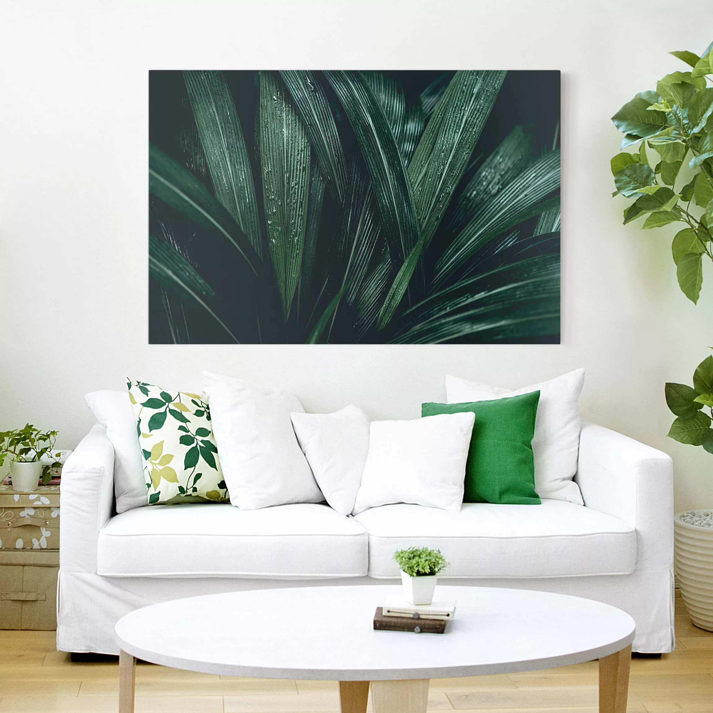 Leinwandbild Botanik - Querformat Grüne Palmenblätter günstig online kaufen