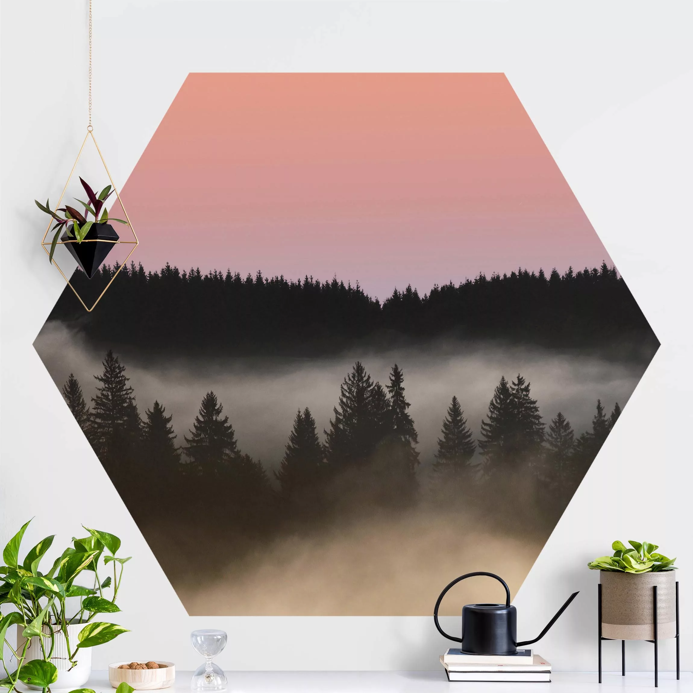 Hexagon Fototapete selbstklebend Verträumter Waldnebel günstig online kaufen