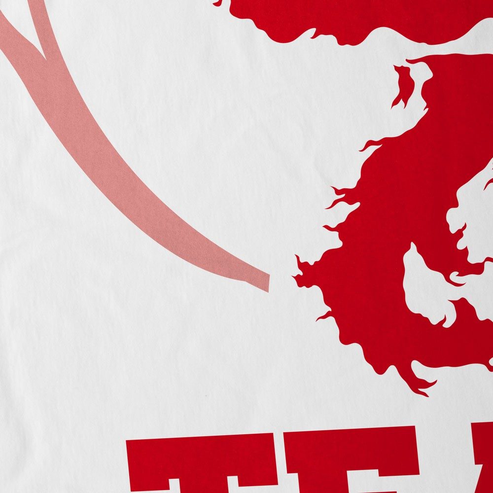 style3 T-Shirt Team Valor pokemon go günstig online kaufen