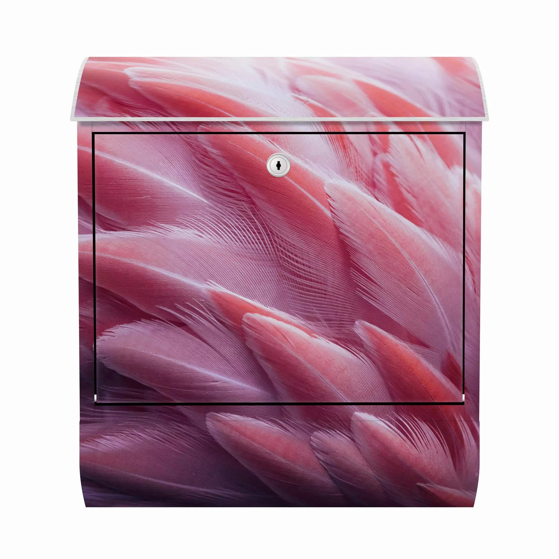 Briefkasten Tiere Flamingofedern Close-up günstig online kaufen