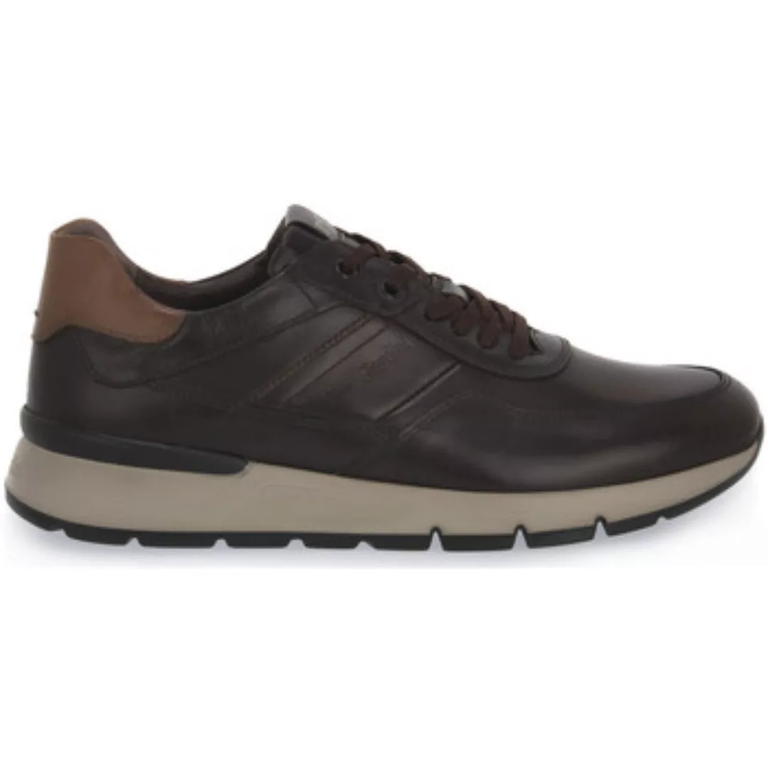 NeroGiardini  Sneaker NERO GIARDINI  322 SAVANA BROWN günstig online kaufen