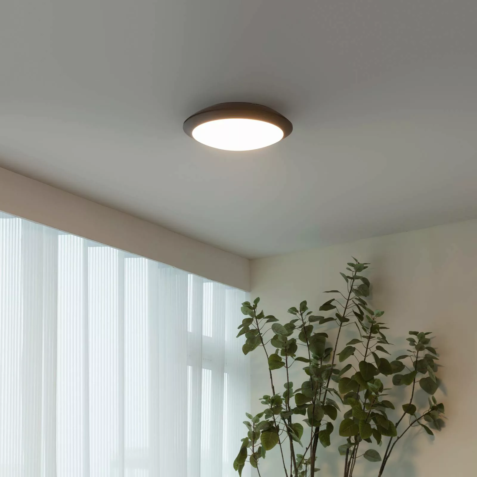 LED-Außendeckenlampe Naira m. Sensor, grau günstig online kaufen