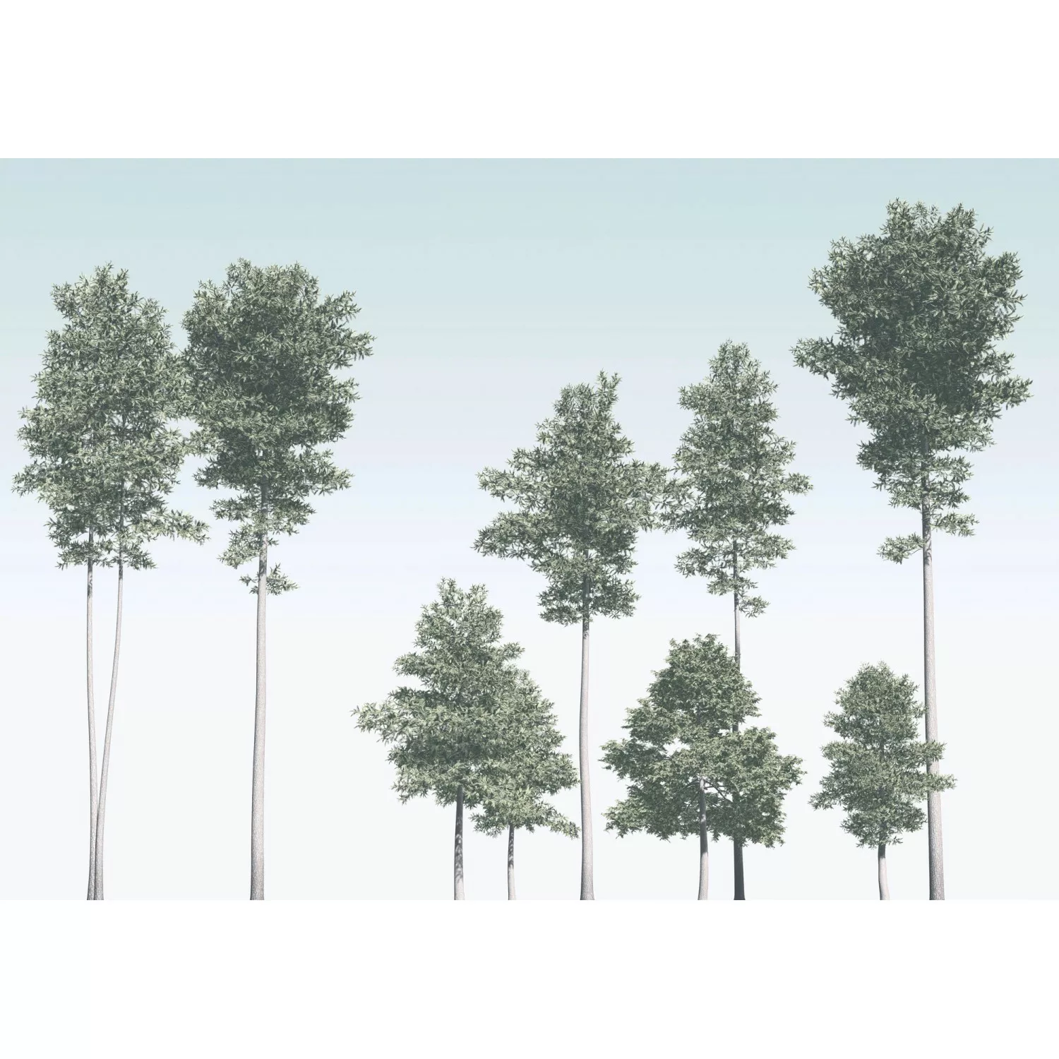 Komar Fototapete Vlies Pines  400 x 280 cm günstig online kaufen