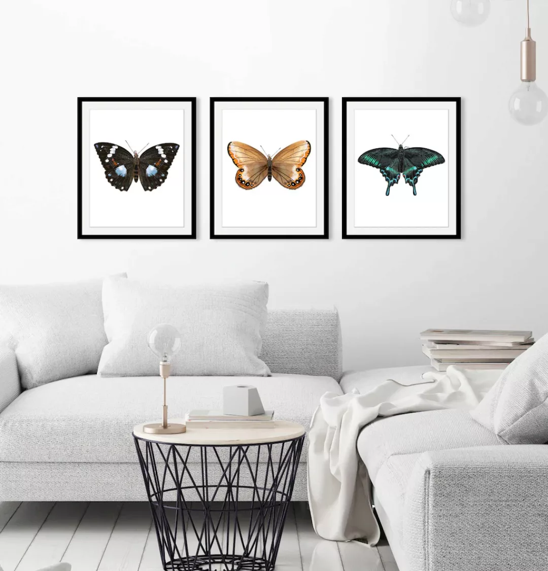 queence Bild "Juju", Schmetterlinge, (1 St.) günstig online kaufen