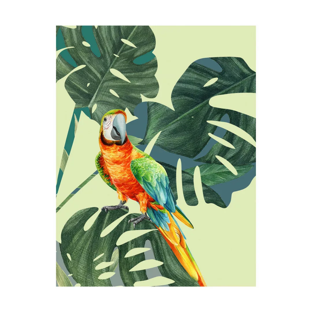 Komar Bild "Green-Winged Macaw", Natur, (1 St.), Wandbild zur Dekoration - günstig online kaufen