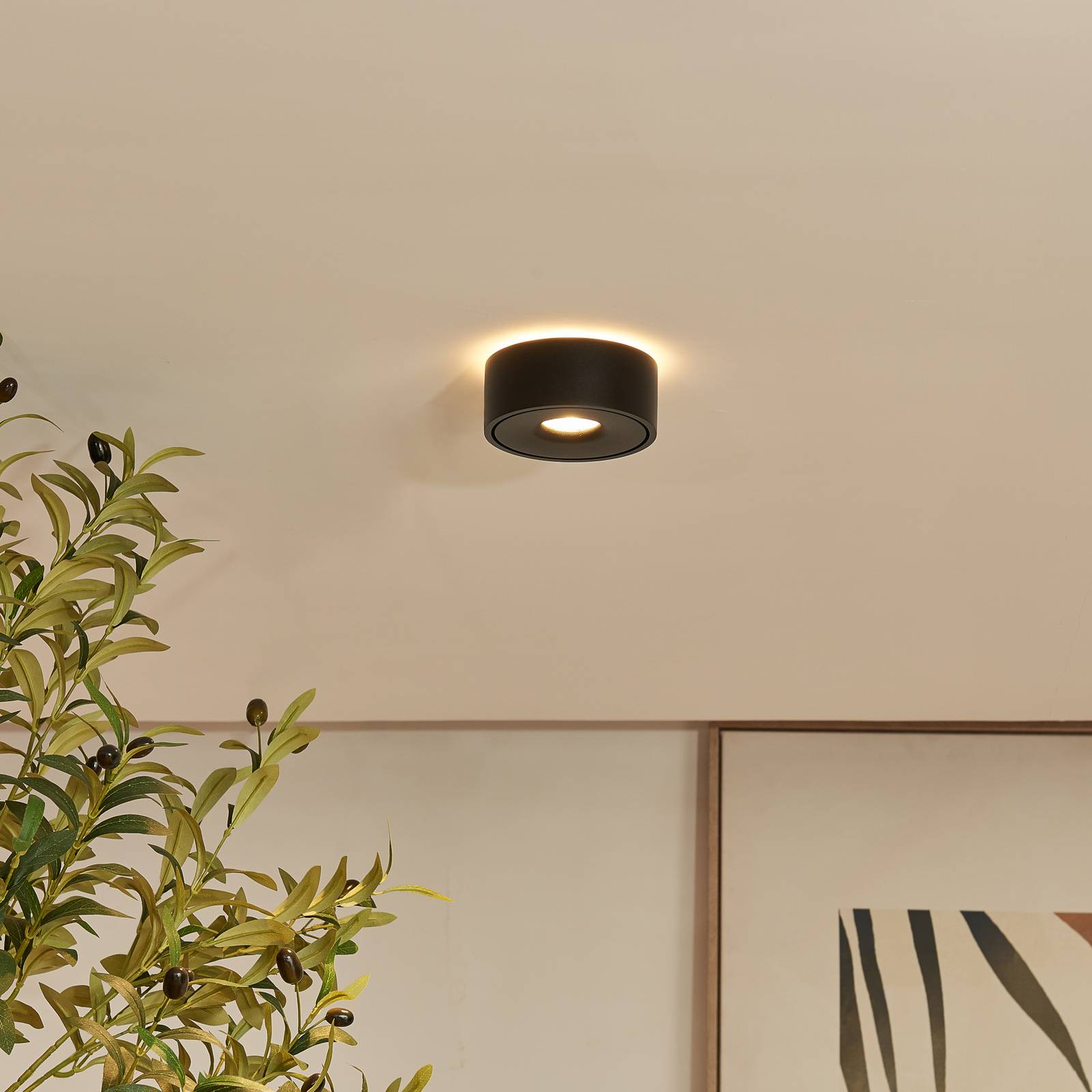 Arcchio Rotari LED-Deckenlampe, up & down, schwarz günstig online kaufen