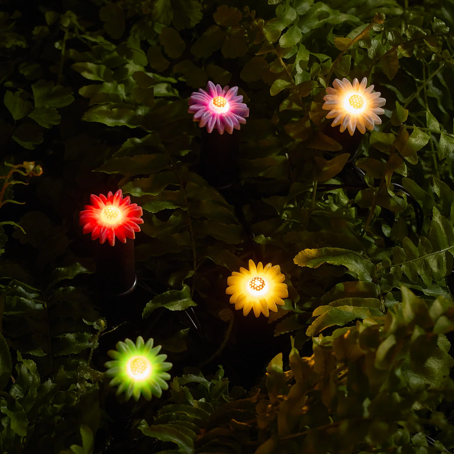 5er Set LED Solar Stableuchten Blumen günstig online kaufen