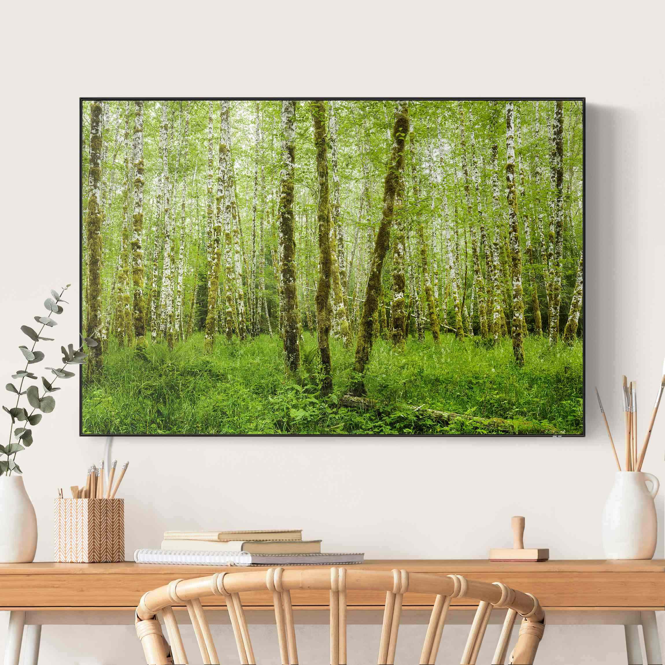 LED-Wechselbild Hoh Rainforest Olympic National Park günstig online kaufen