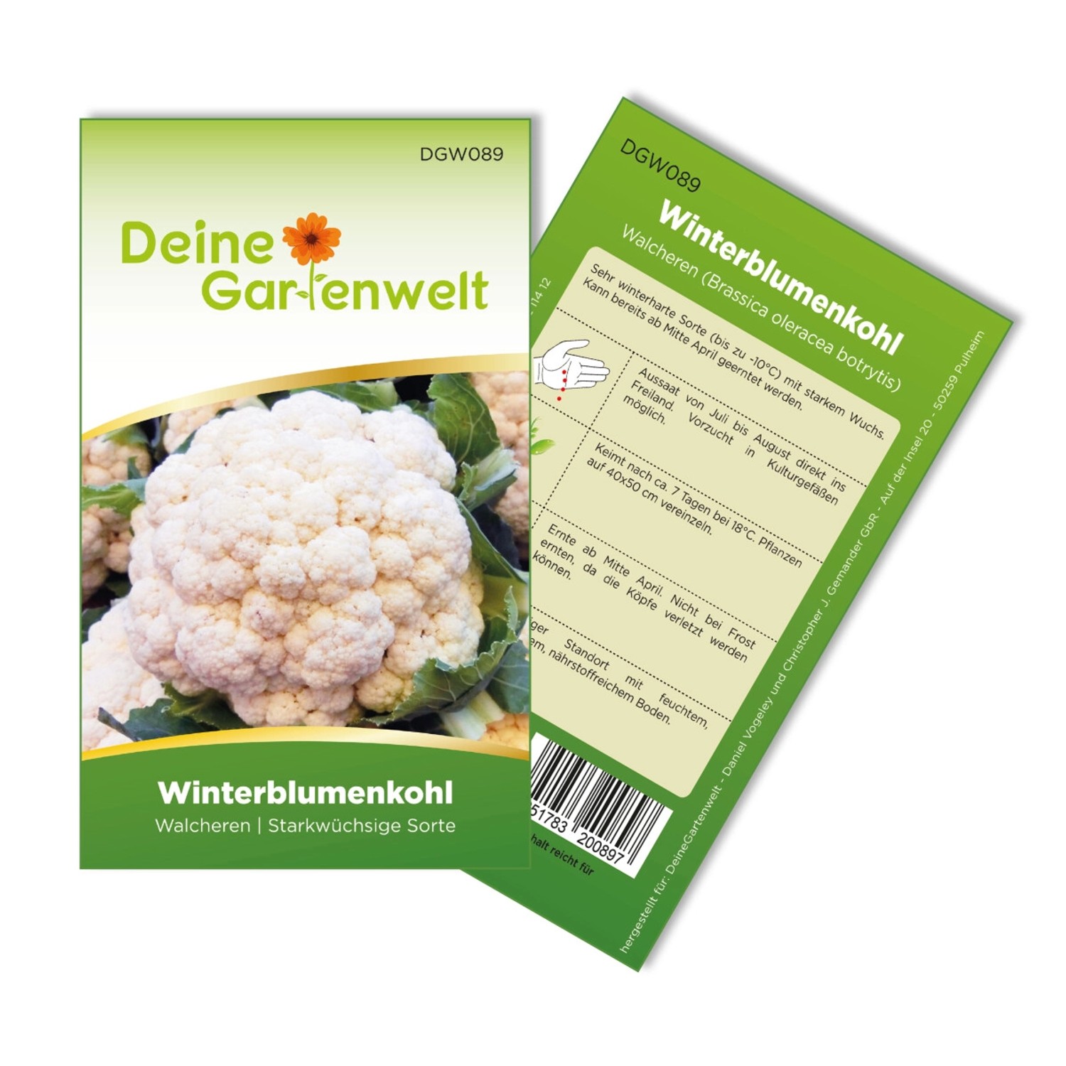 Deine Gartenwelt Winterblumenkohl Walcheren Samen günstig online kaufen