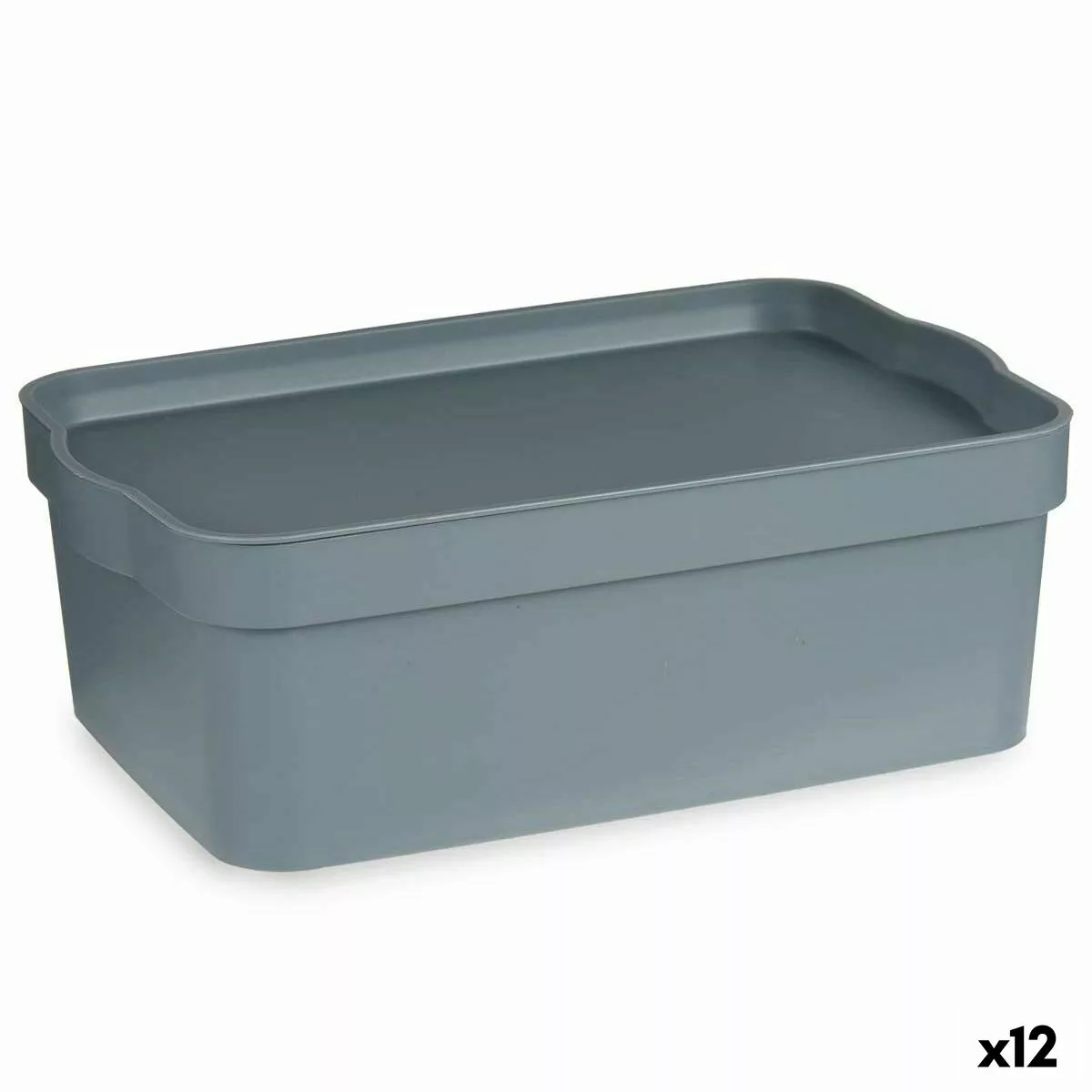 Aufbewahrungsbox Mit Deckel Grau Kunststoff 6 L (21,5 X 11 X 32 Cm) (12 Stü günstig online kaufen