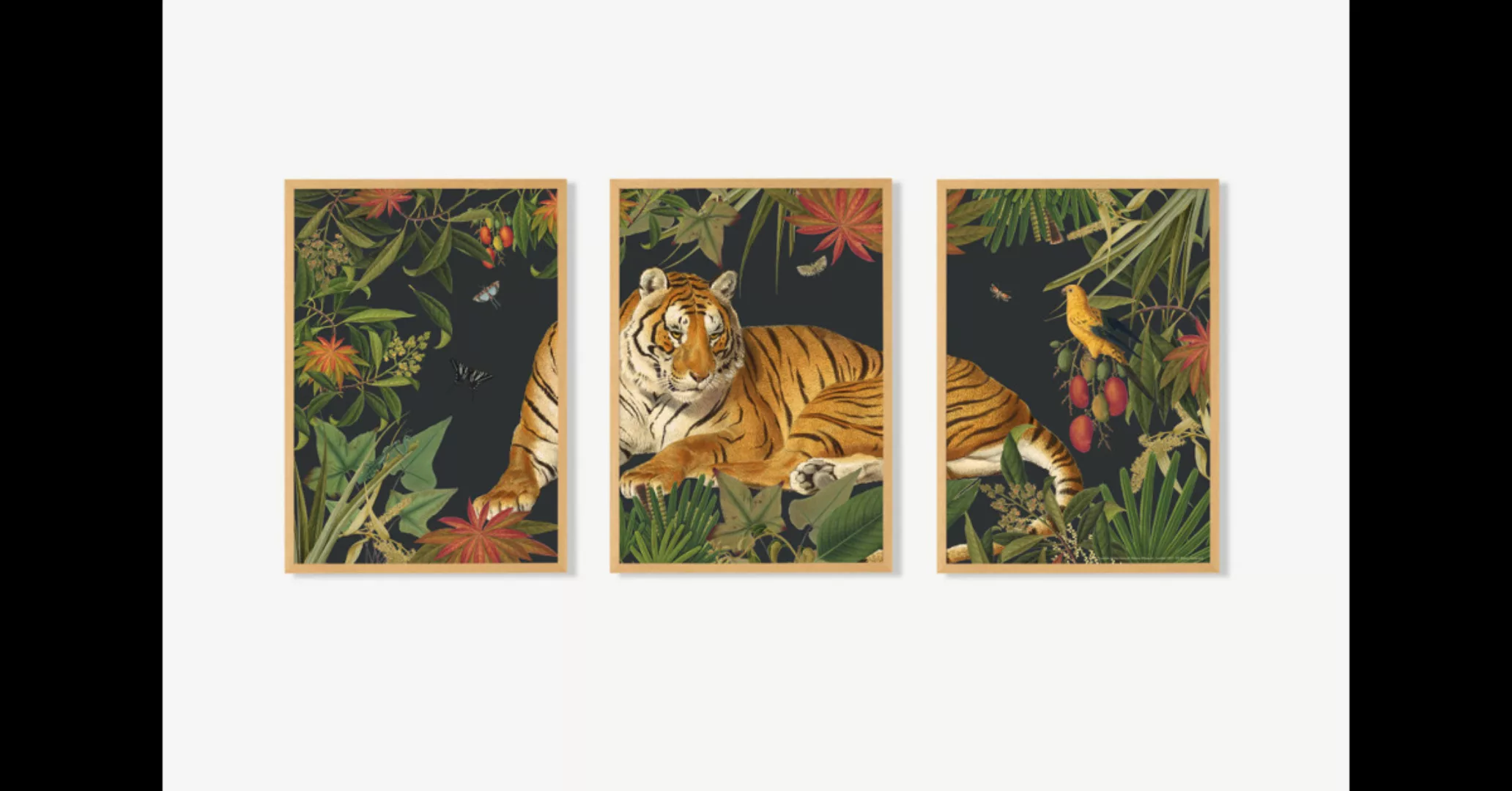 3 x Natural History Museum 'Vintage Tiger' gerahmte Kunstdrucke (A3) - MADE günstig online kaufen