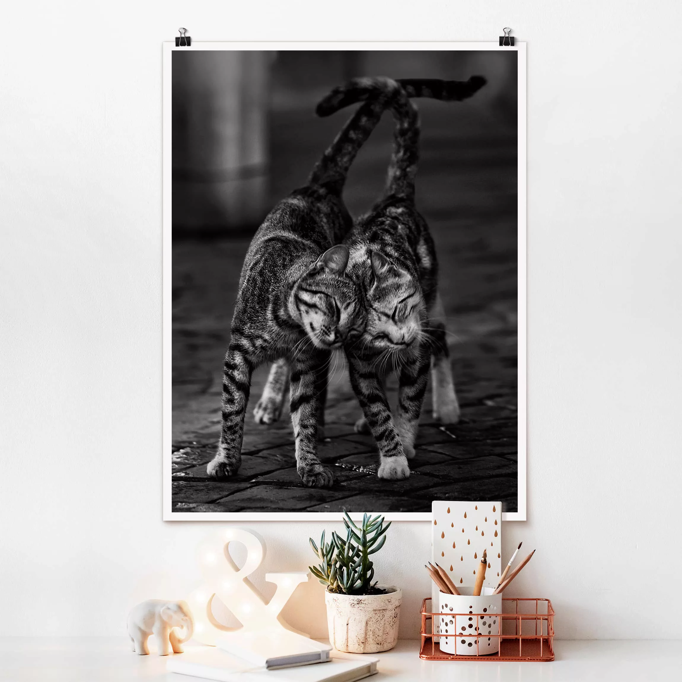 Poster Tiere - Hochformat Kätzchenfreundschaft günstig online kaufen