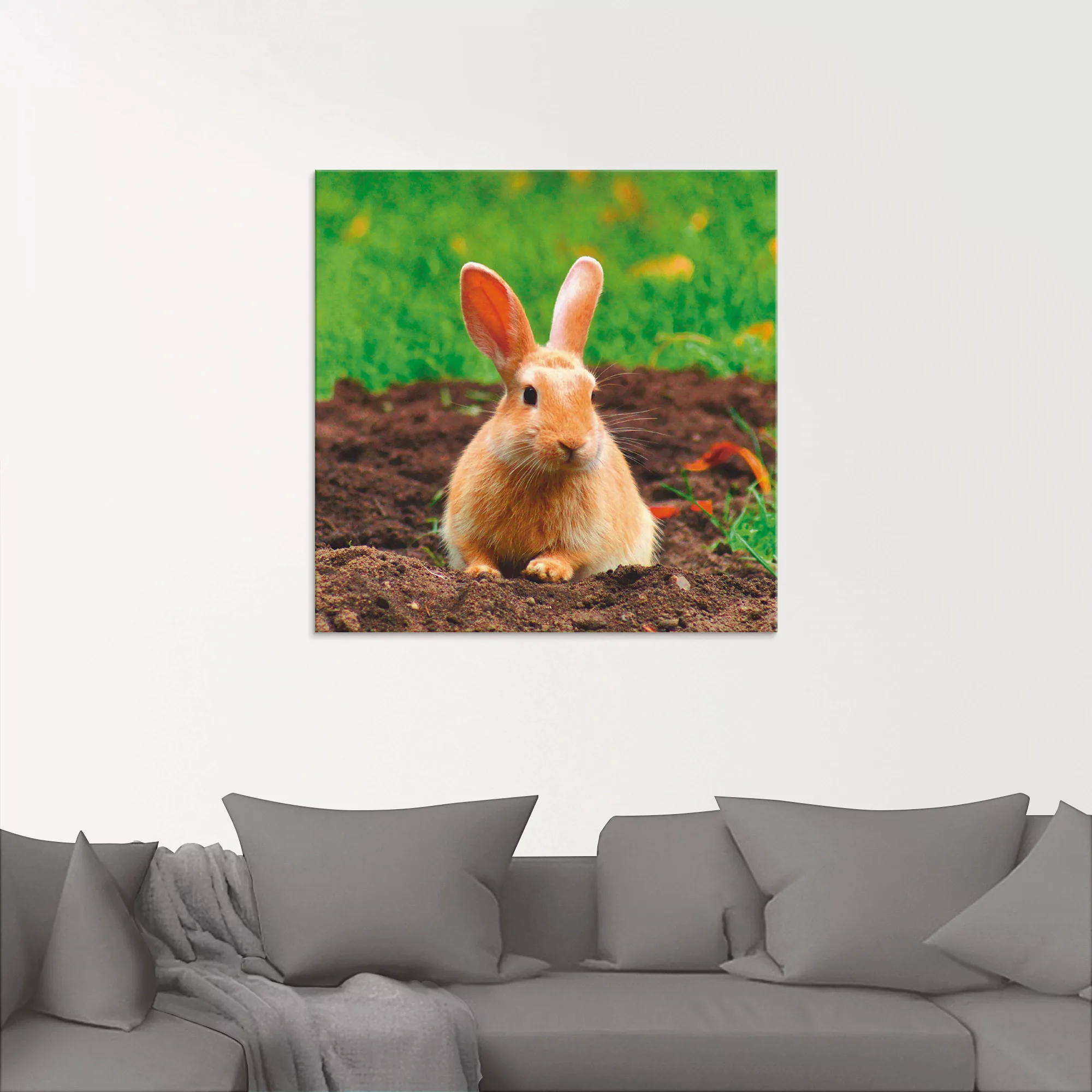 Artland Glasbild "Glückliches Zwergkaninchen", Wildtiere, (1 St.) günstig online kaufen
