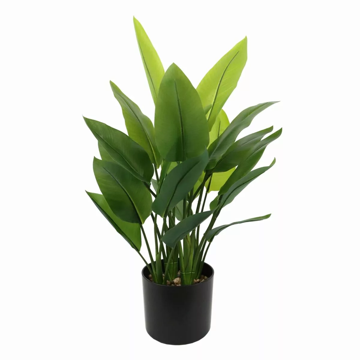 Dekorationspflanze 40 X 30 X 70 Cm Grün Paradiesvogelblume günstig online kaufen