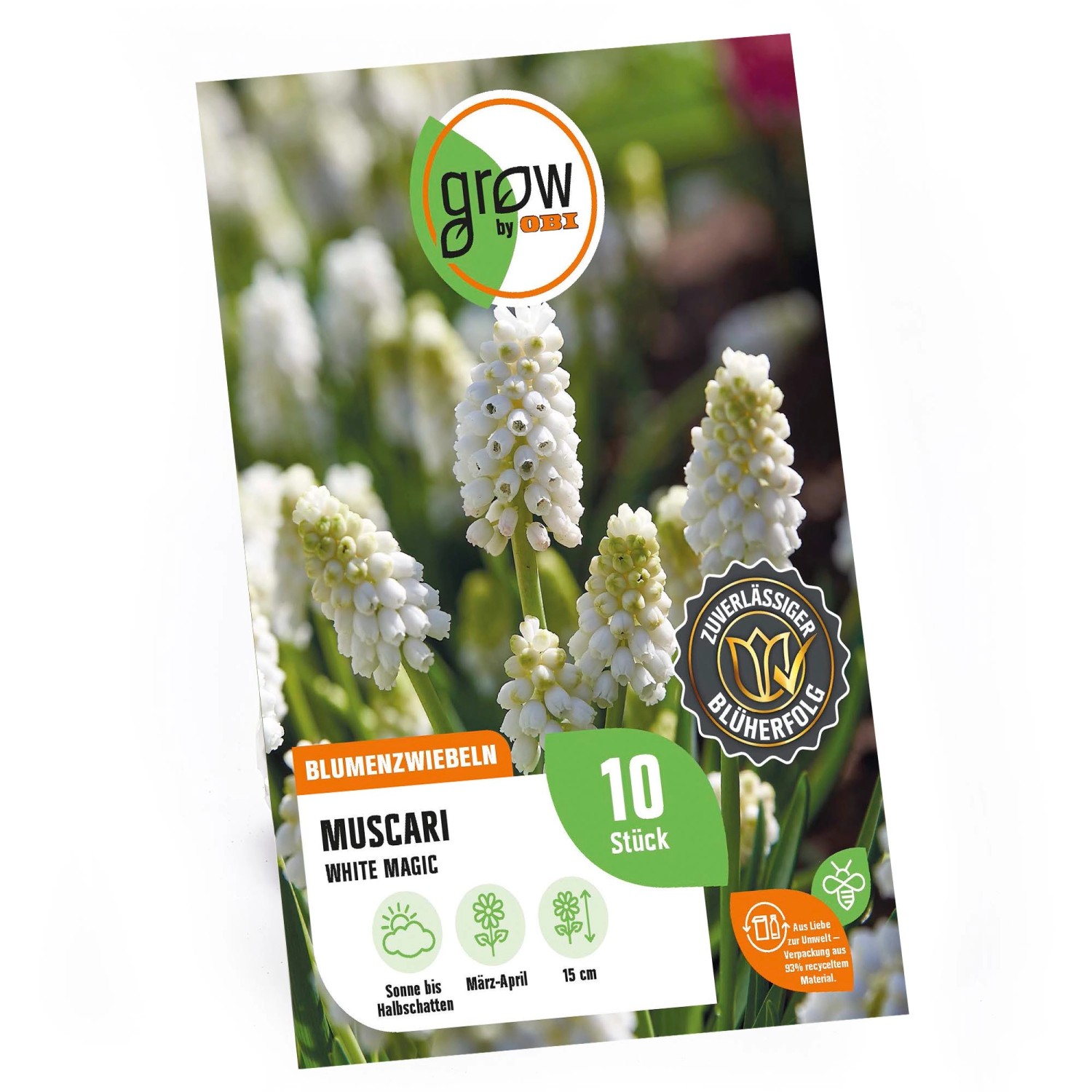 GROW by OBI Traubenhyazinthe White Magic Weiß 10 Stück Muscari White Magic günstig online kaufen