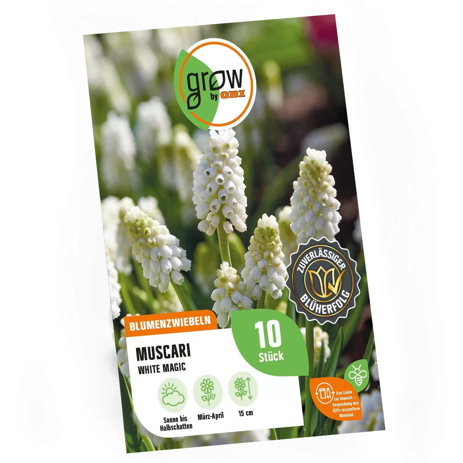 GROW by OBI Traubenhyazinthe White Magic Weiß 15 cm Muscari günstig online kaufen