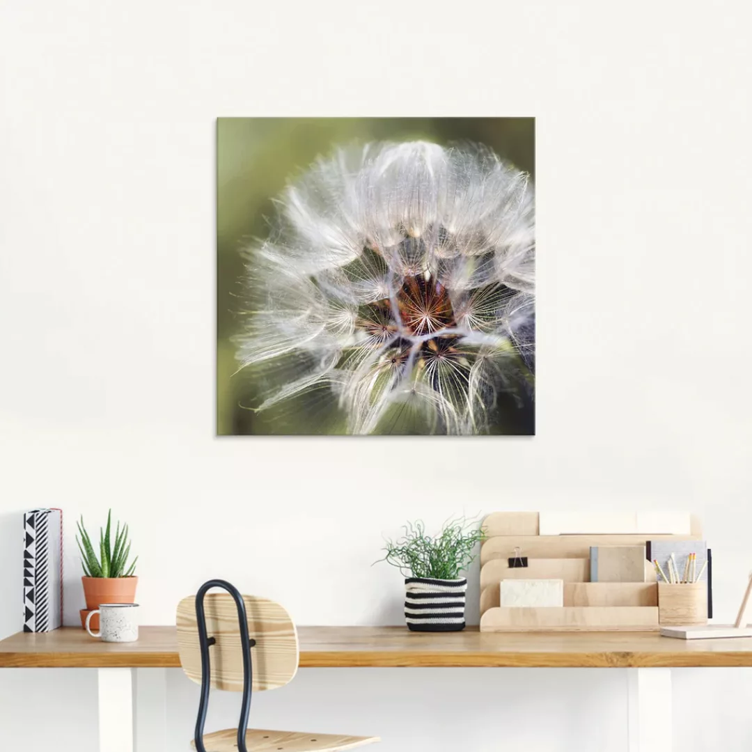 Artland Glasbild "Pusteblume II", Blumen, (1 St.), in verschiedenen Größen günstig online kaufen