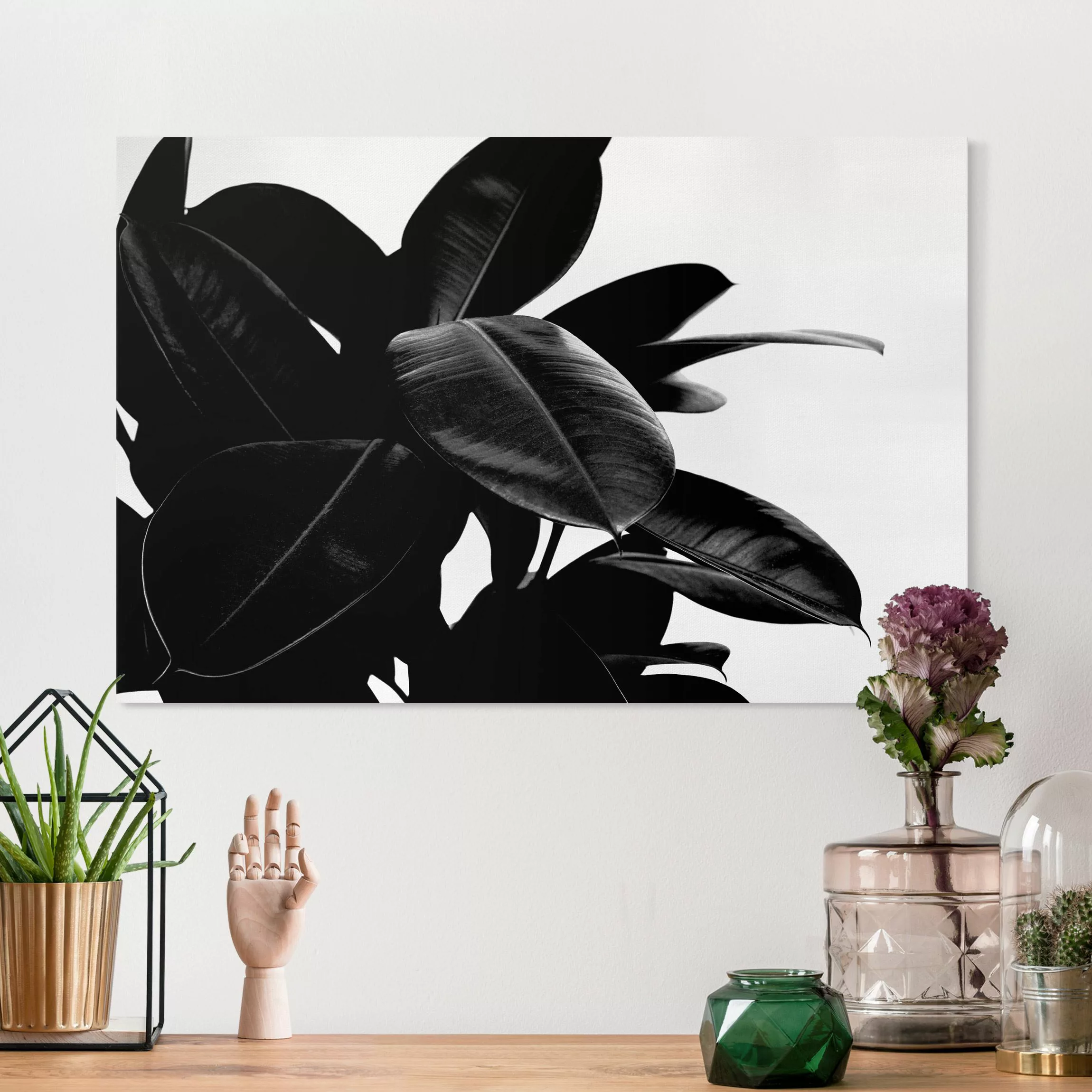 Leinwandbild Gummibaum Blätter Schwarz Weiß günstig online kaufen