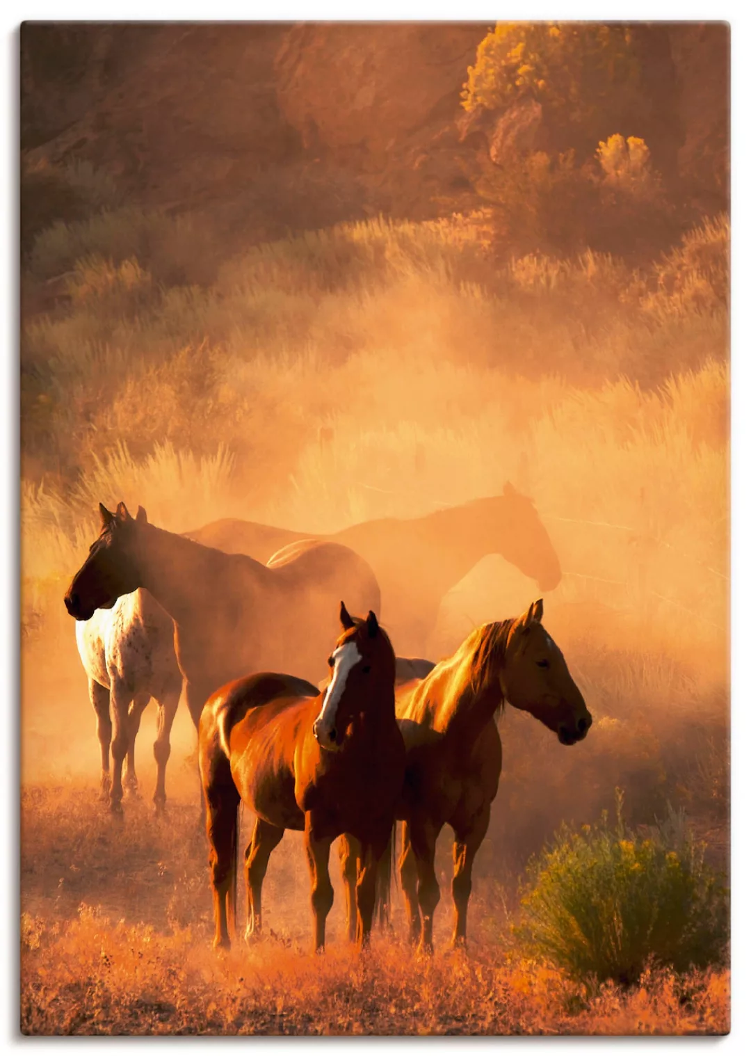 Artland Leinwandbild "Friedliche Versammlung - Pferde", Haustiere, (1 St.), günstig online kaufen