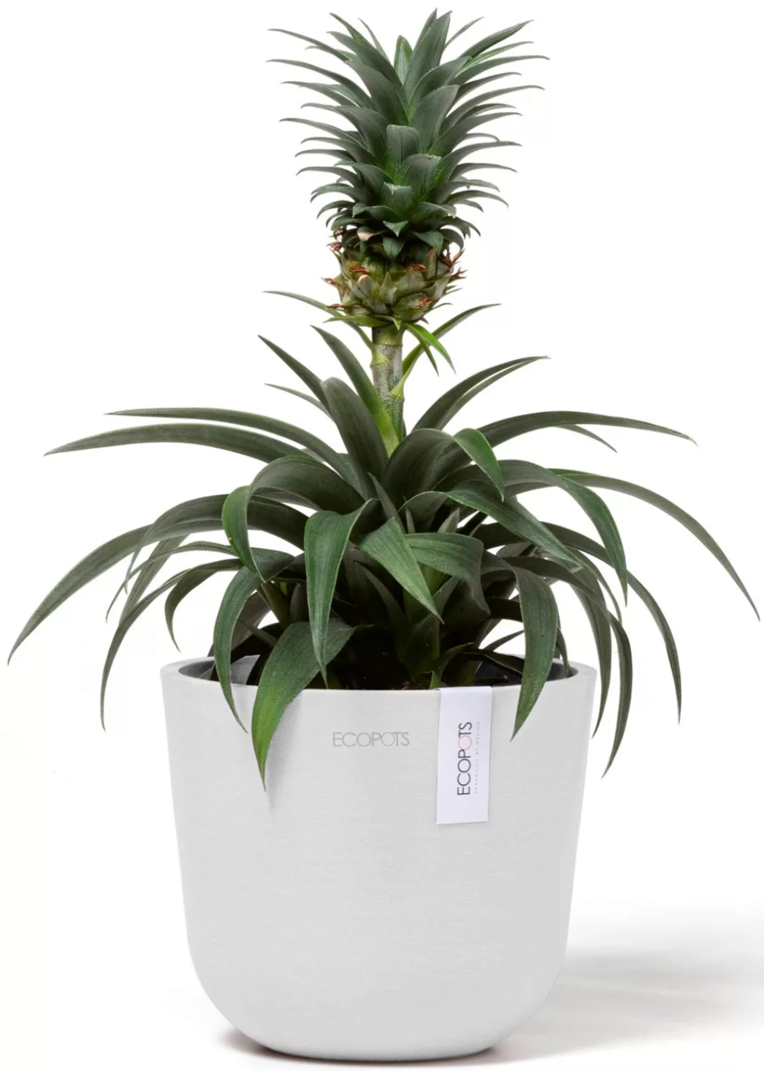 ECOPOTS Blumentopf "Oslo Mini 16 Weiß", für den Innenbereich günstig online kaufen