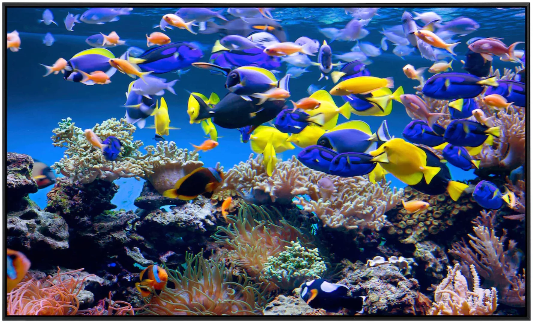 Papermoon Infrarotheizung »Aquarium«, sehr angenehme Strahlungswärme günstig online kaufen