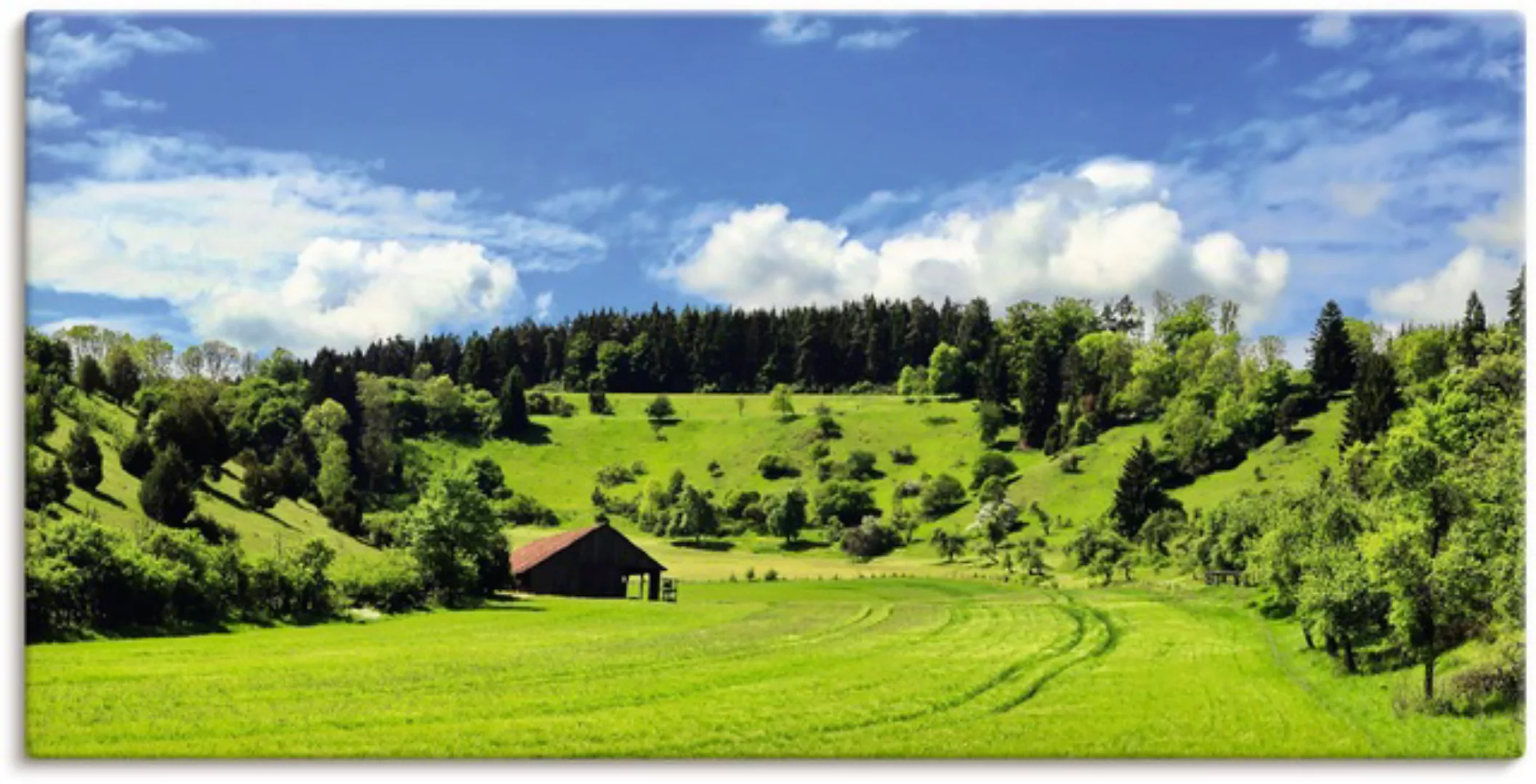 Artland Wandbild "Traumhafte Landschaft im Schwarzwald", Wiesen & Baumbilde günstig online kaufen