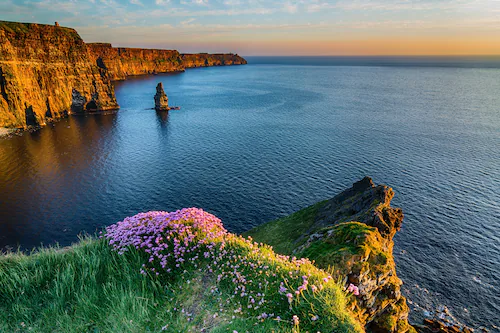 Papermoon Fototapete »MOHER IRLAND-STRAND KLIPPEN KÜSTE BLUMEN MEER GEBIRGE günstig online kaufen