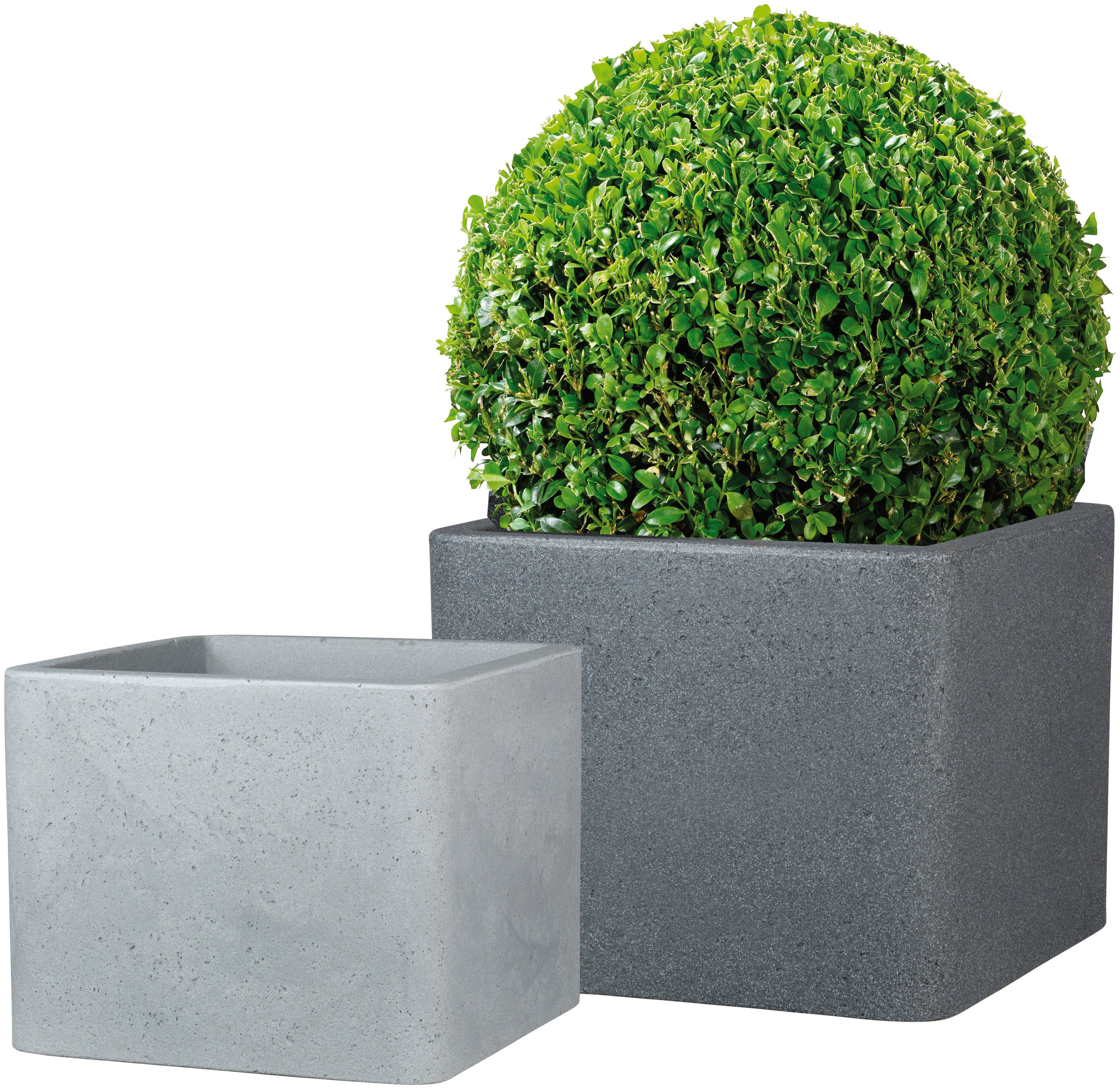 Scheurich Blumentopf 40/140 ALEA UET günstig online kaufen