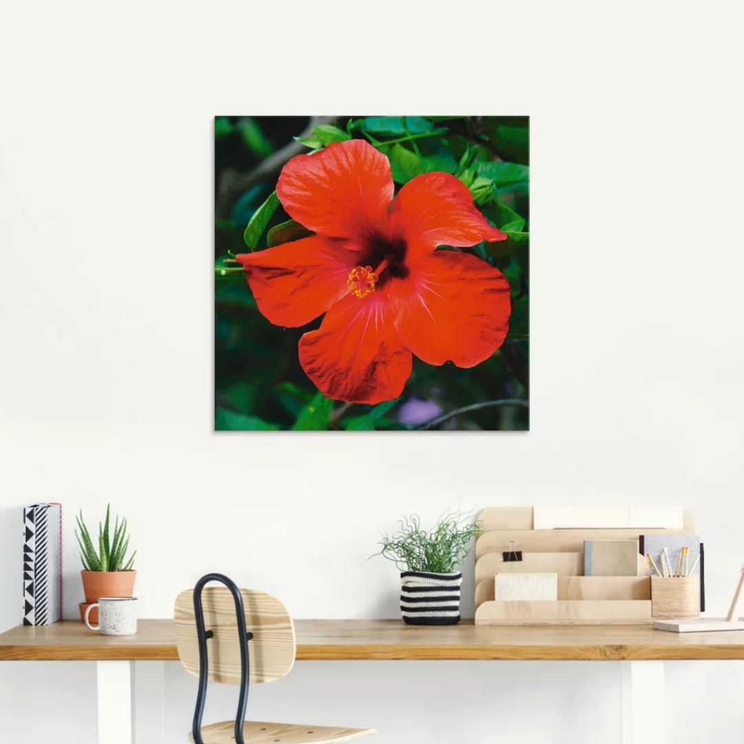 Artland Glasbild »Hawaiiblume«, Blumen, (1 St.), in verschiedenen Größen günstig online kaufen