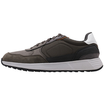 Geox  Sneaker U MOLVENO B günstig online kaufen