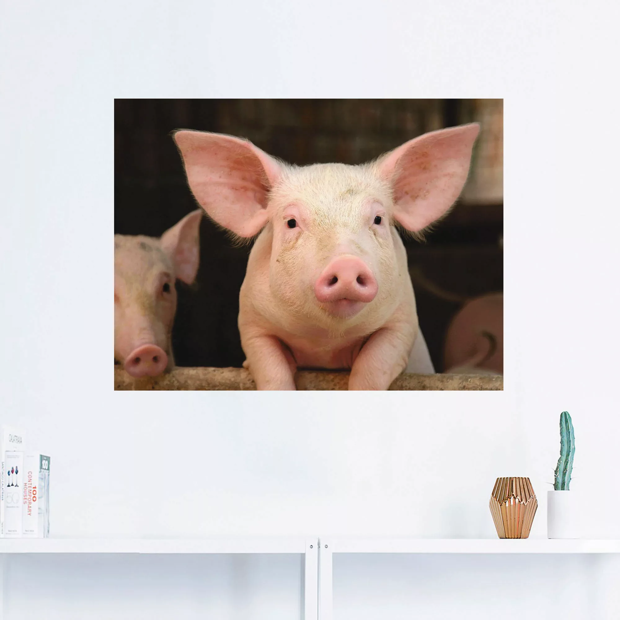 Artland Wandbild "Vorwitziges Schwein", Haustiere, (1 St.), als Leinwandbil günstig online kaufen